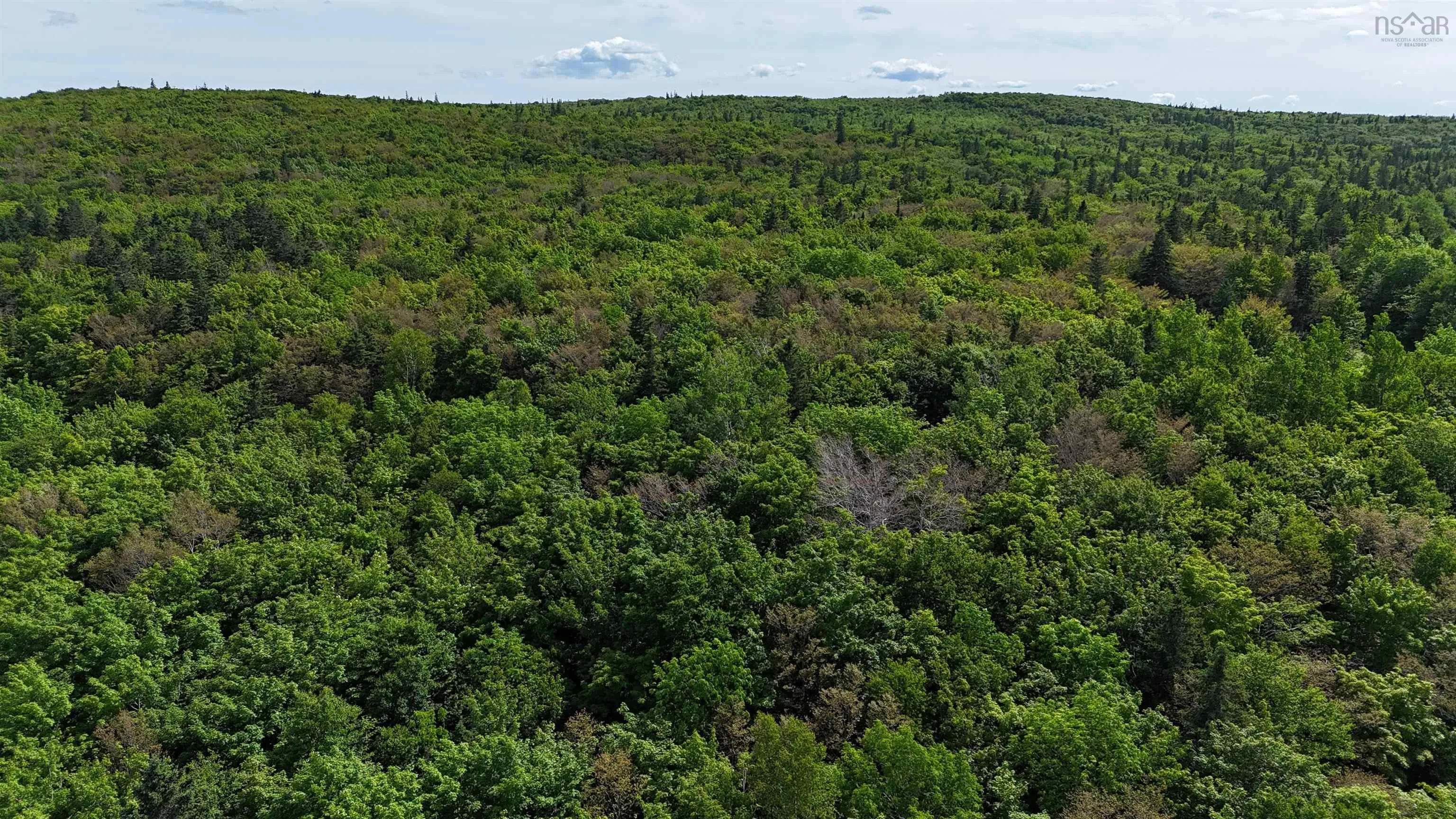 Highway 344, Mulgrave Ns B0e 2g0, ,Land,For Sale,Highway 344,202500563