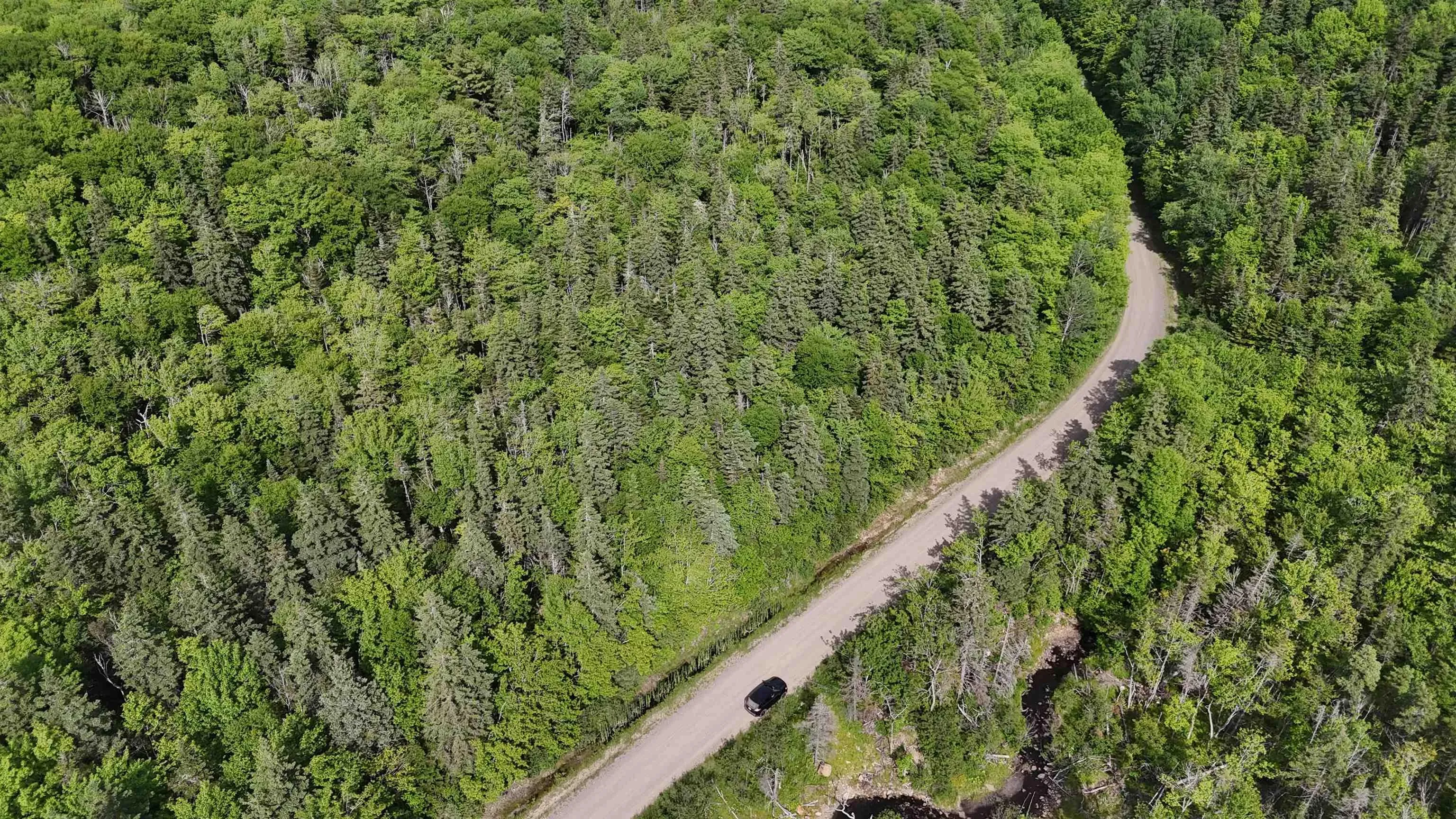 Highway 344, Mulgrave Ns B0e 2g0, ,Land,For Sale,Highway 344,202500563
