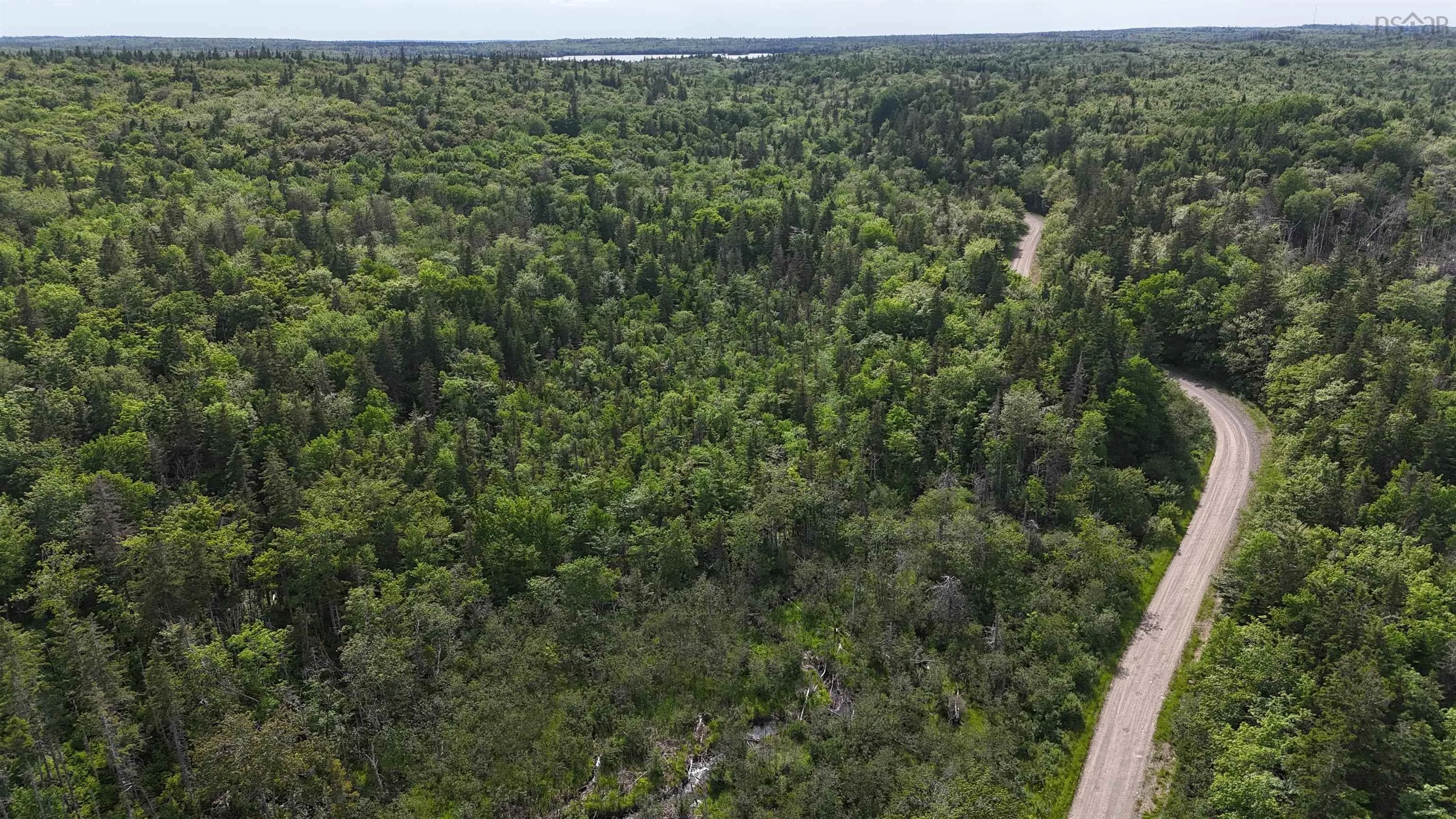 Highway 344, Mulgrave Ns B0e 2g0, ,Land,For Sale,Highway 344,202500563