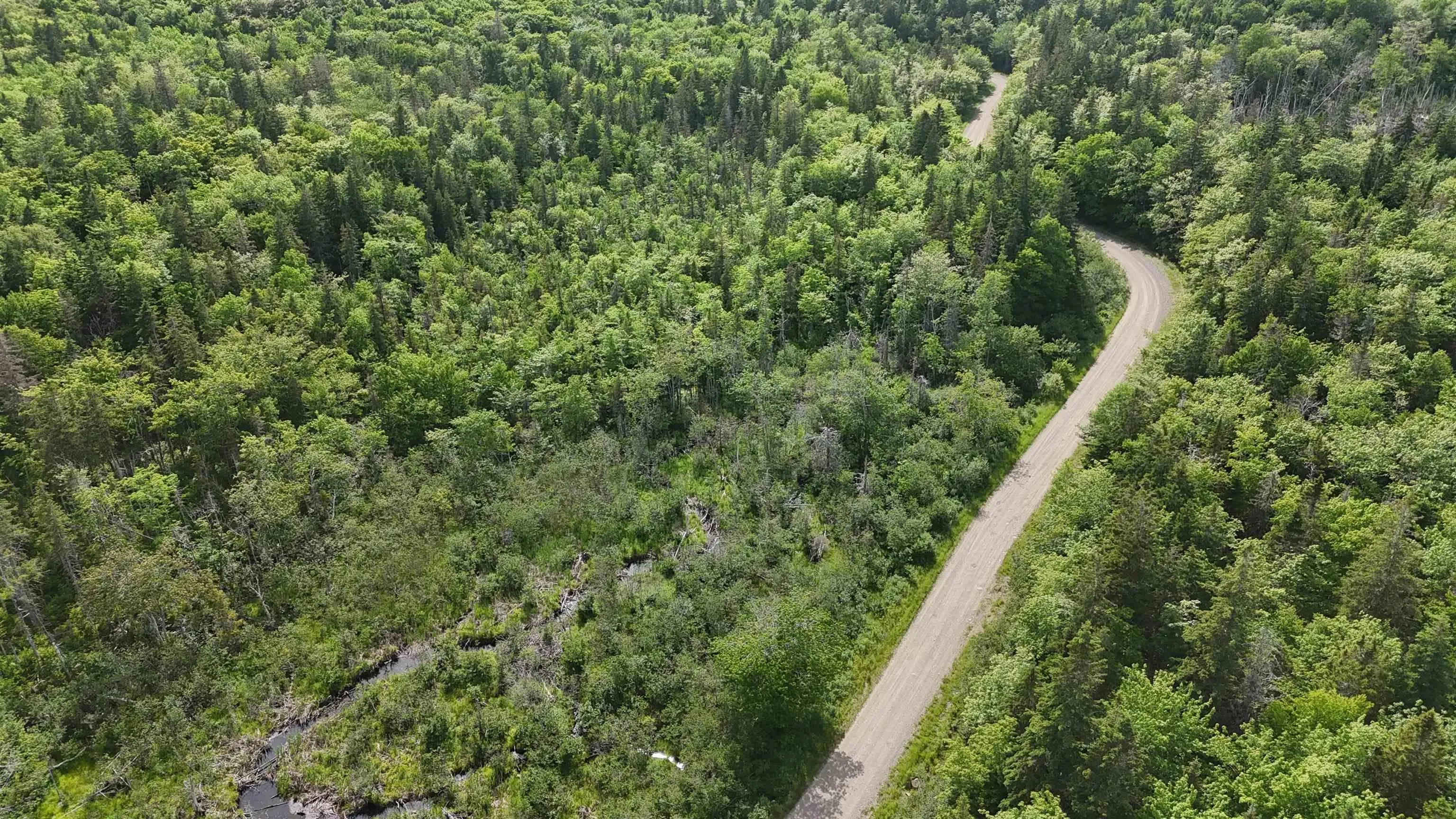 Highway 344, Mulgrave Ns B0e 2g0, ,Land,For Sale,Highway 344,202500563