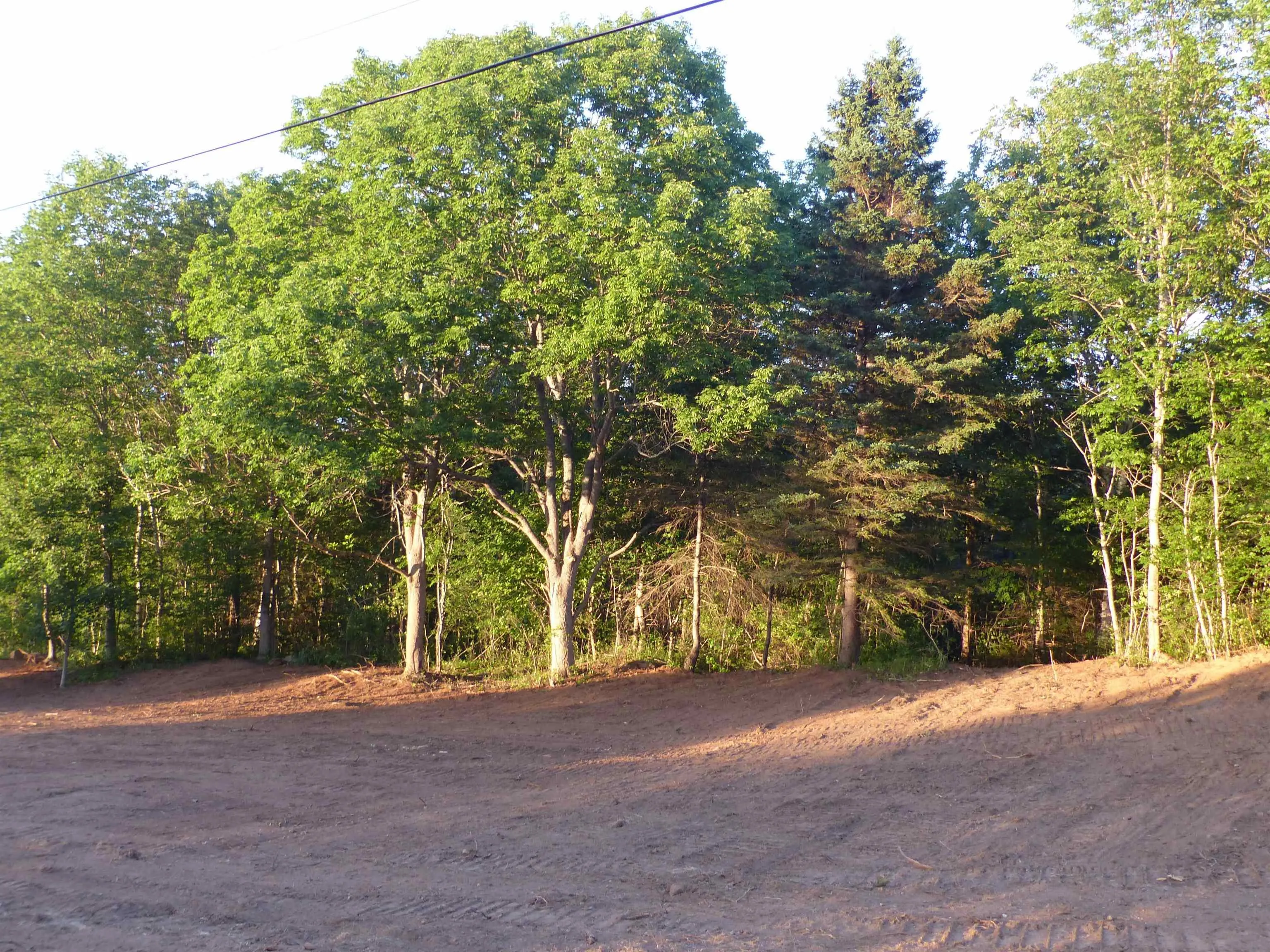 Highway 1 Lot 2, Clementsport, NS B0S 1E0, ,Land,For Sale,Highway 1,202519034