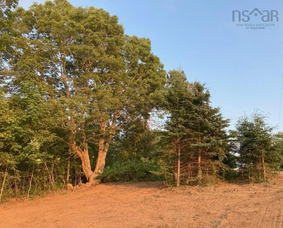 Highway 1 Lot 2, Clementsport, NS B0S 1E0, ,Land,For Sale,Highway 1,202519034