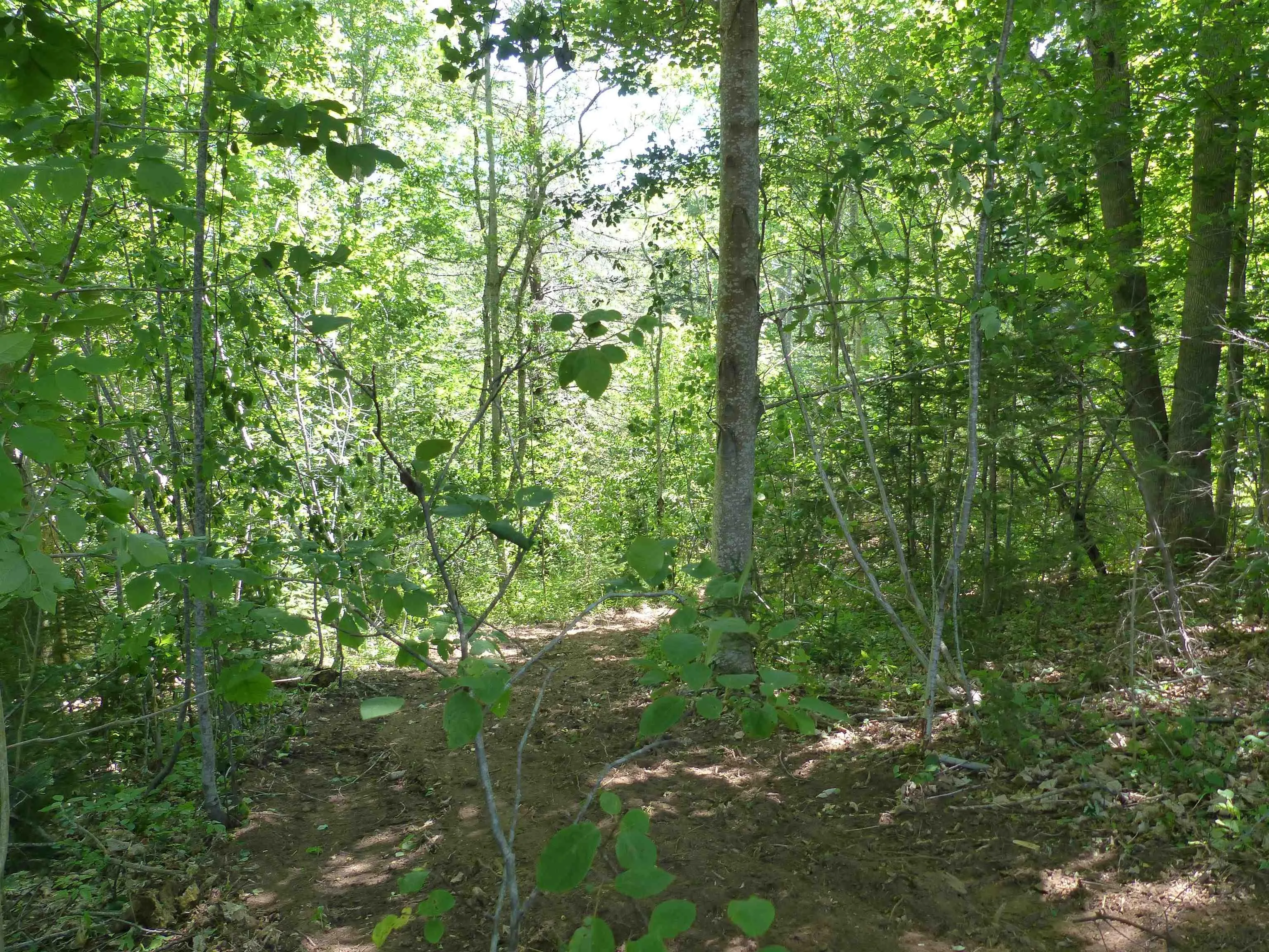 Highway 1 Lot 2, Clementsport, NS B0S 1E0, ,Land,For Sale,Highway 1,202519034