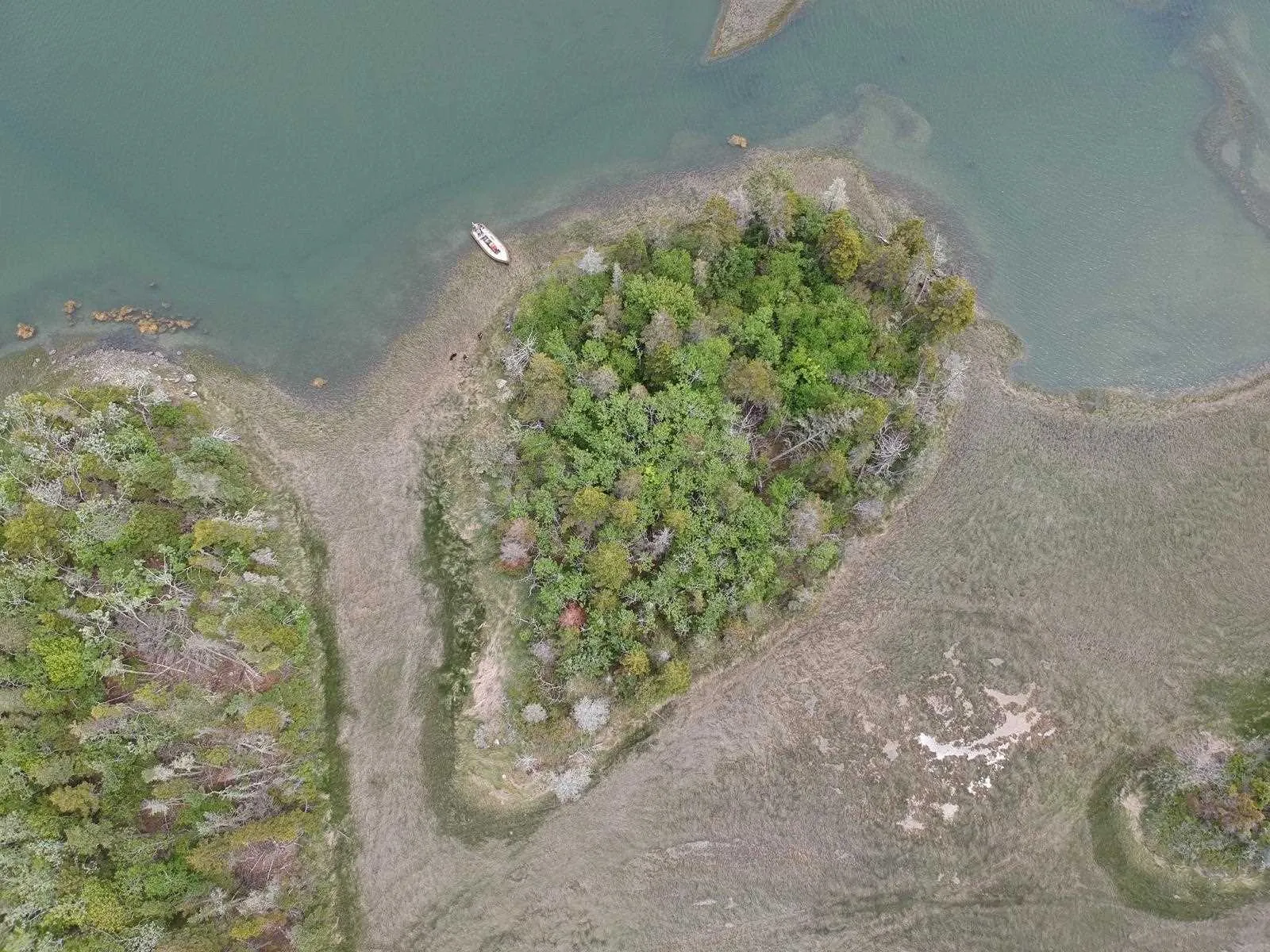 0 Le Petite Isle Island, Surettes Island Ns B0w 3m0, ,Land,For Sale,Le Petite Isle,202109666