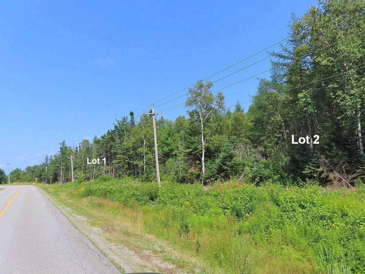 Lot 2 Lower River Road, Hureauville Ns B0e 1j0, ,Land,For Sale,Lower River,202423664