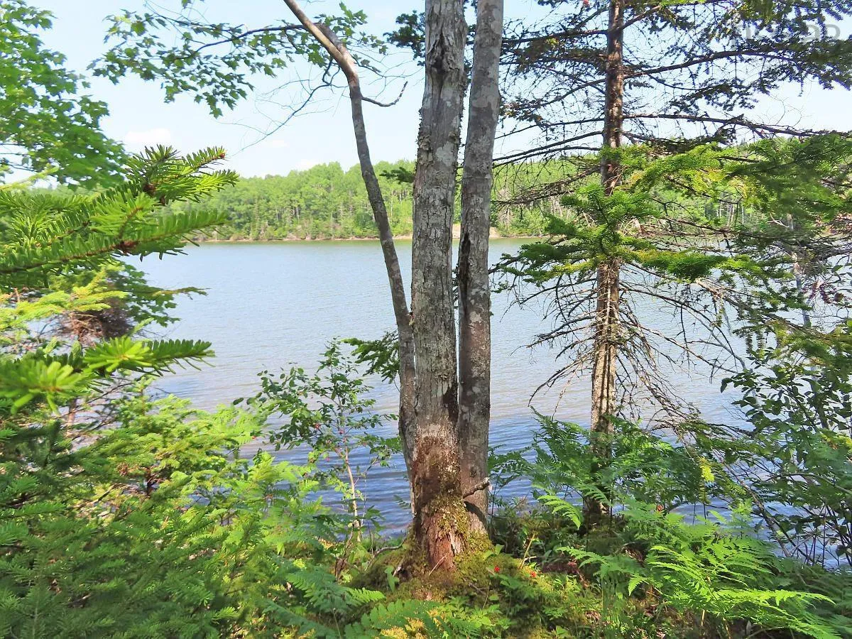Lot 2 Lower River Road, Hureauville Ns B0e 1j0, ,Land,For Sale,Lower River,202423664