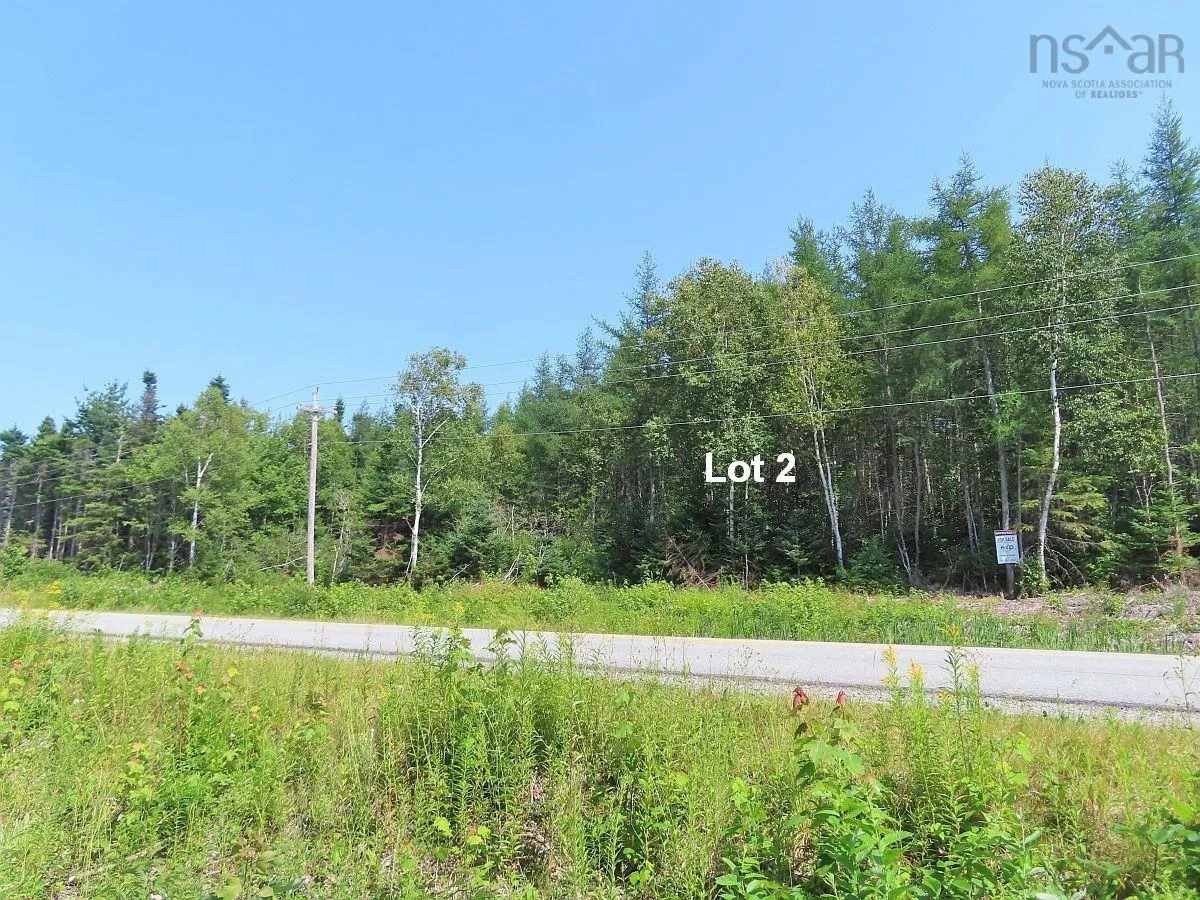 Lot 2 Lower River Road, Hureauville Ns B0e 1j0, ,Land,For Sale,Lower River,202423664