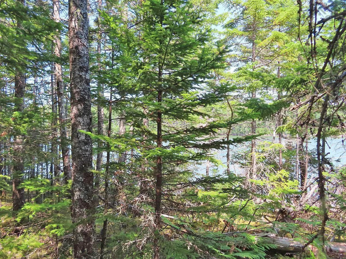 Lot 2 Lower River Road, Hureauville Ns B0e 1j0, ,Land,For Sale,Lower River,202423664