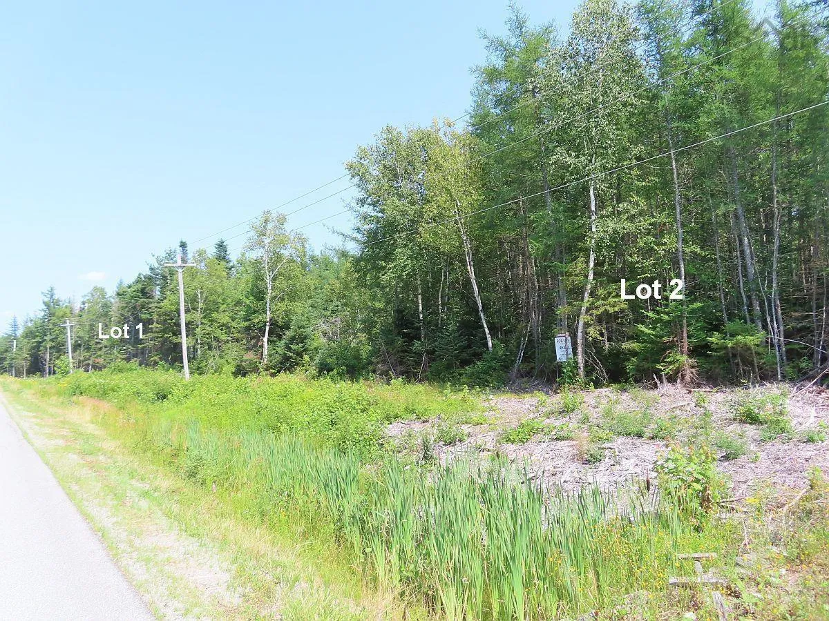 Lot 2 Lower River Road, Hureauville Ns B0e 1j0, ,Land,For Sale,Lower River,202423664