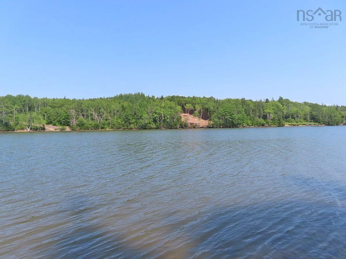 Lot 2 Lower River Road, Hureauville Ns B0e 1j0, ,Land,For Sale,Lower River,202423664