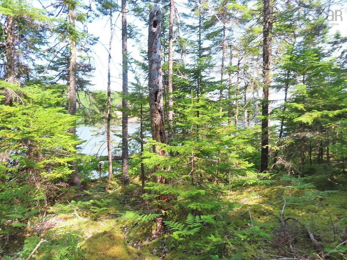 Lot 2 Lower River Road, Hureauville Ns B0e 1j0, ,Land,For Sale,Lower River,202423664