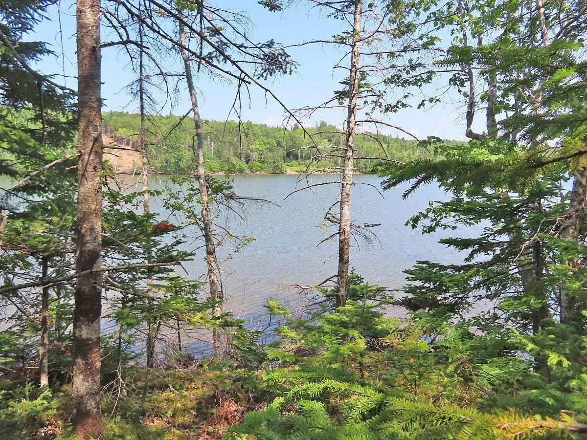 Lot 2 Lower River Road, Hureauville Ns B0e 1j0, ,Land,For Sale,Lower River,202423664
