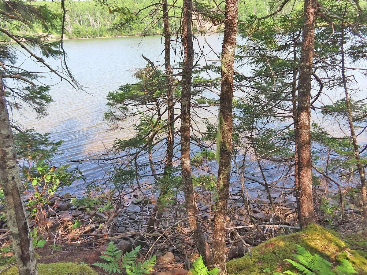 Lot 2 Lower River Road, Hureauville Ns B0e 1j0, ,Land,For Sale,Lower River,202423664