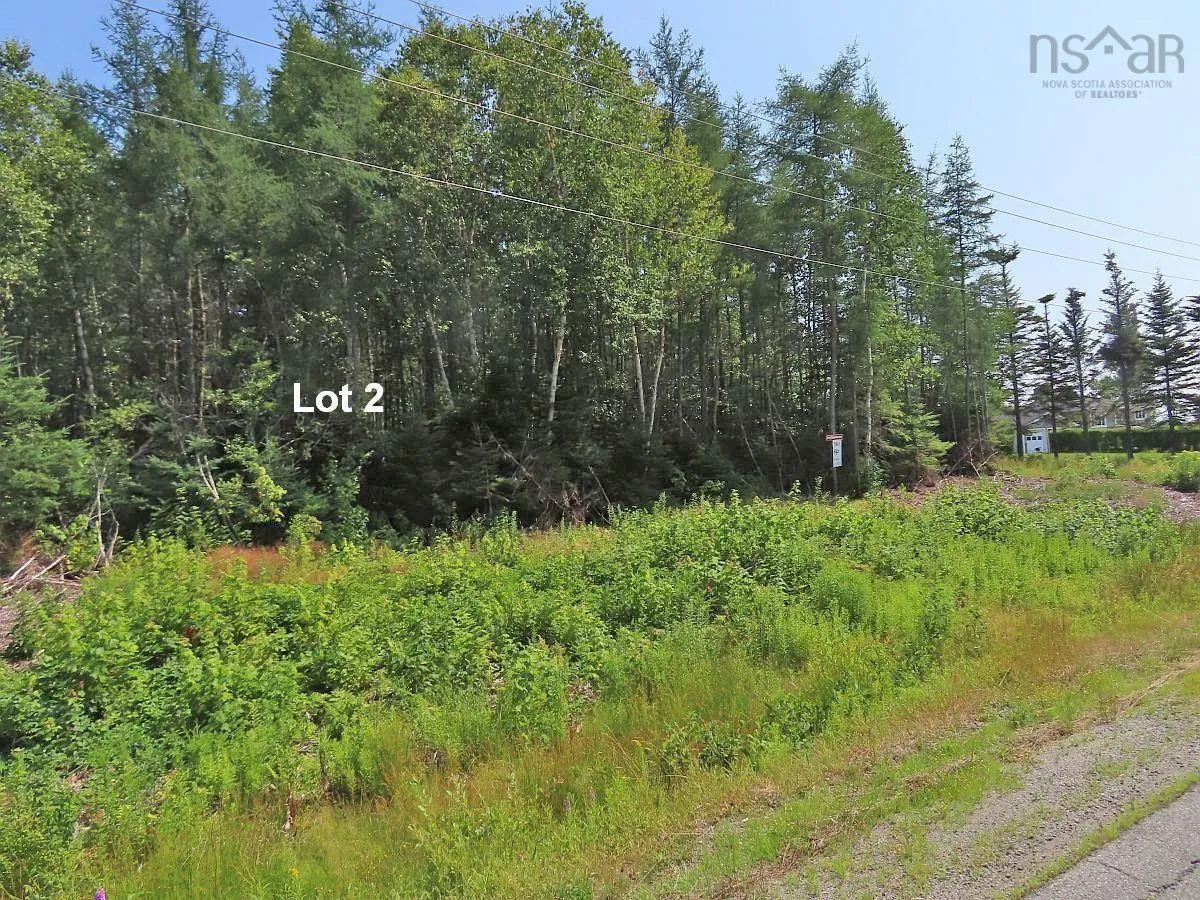 Lot 2 Lower River Road, Hureauville Ns B0e 1j0, ,Land,For Sale,Lower River,202423664