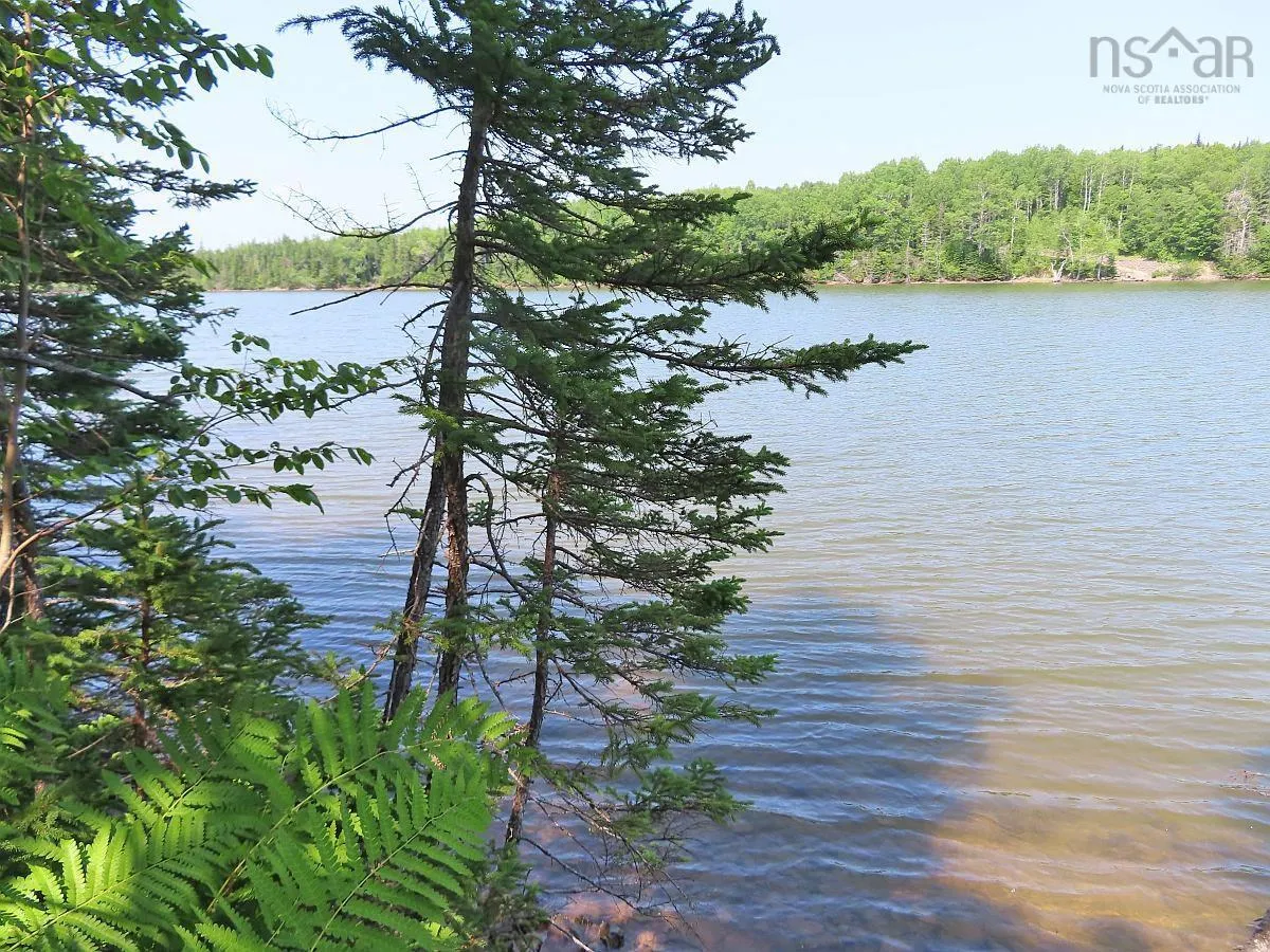 Lot 2 Lower River Road, Hureauville Ns B0e 1j0, ,Land,For Sale,Lower River,202423664