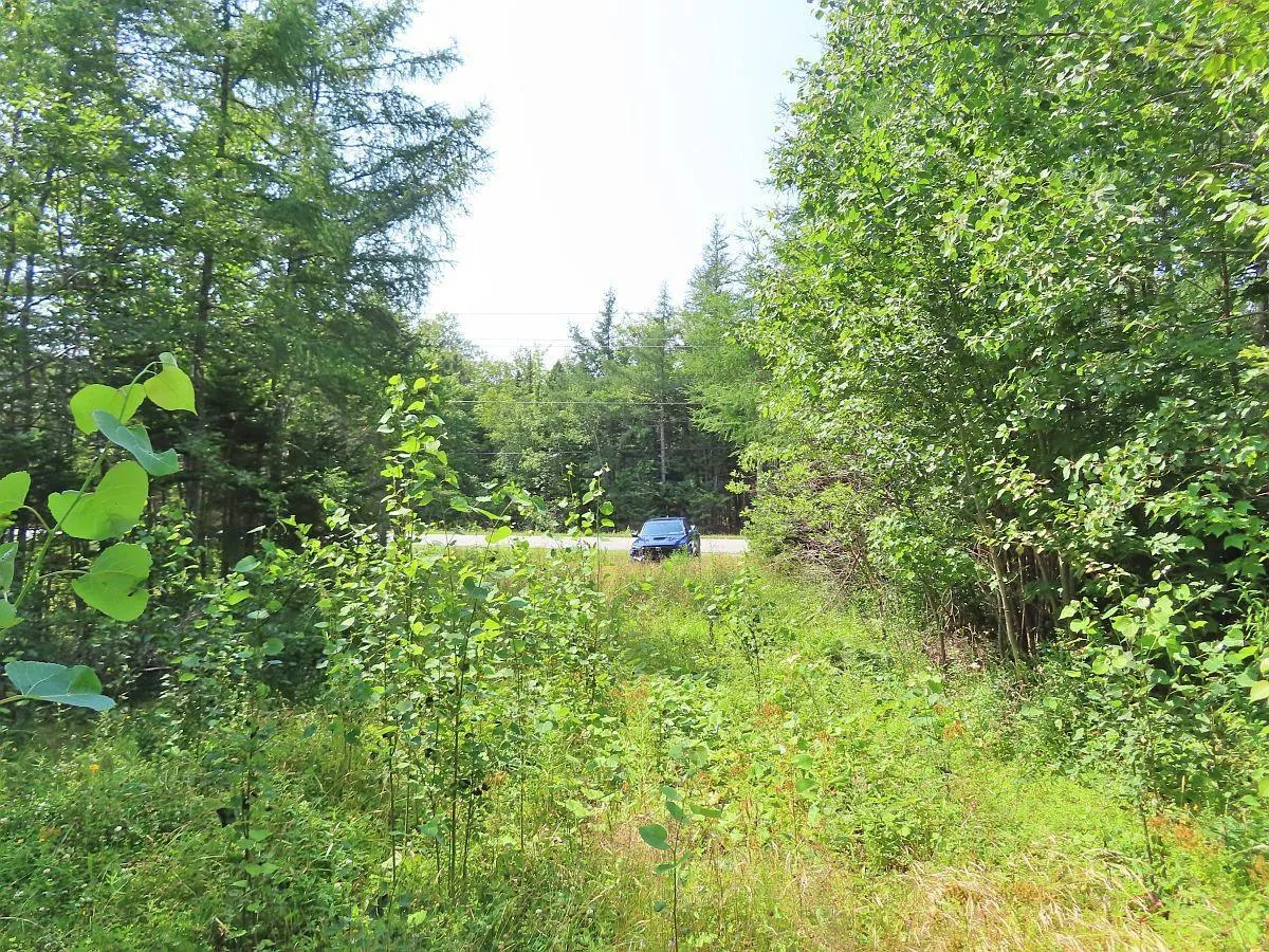 Lot 2 Lower River Road, Hureauville Ns B0e 1j0, ,Land,For Sale,Lower River,202423664