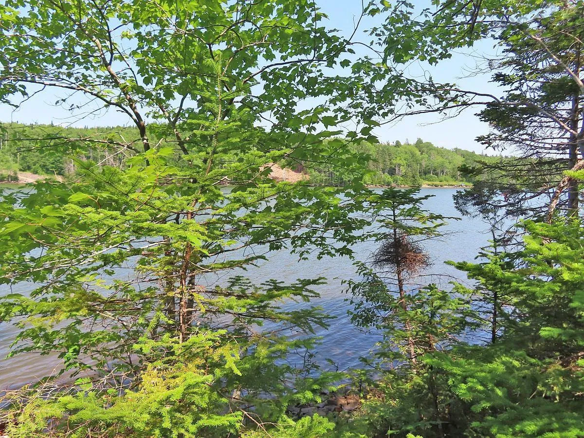 Lot 2 Lower River Road, Hureauville Ns B0e 1j0, ,Land,For Sale,Lower River,202423664