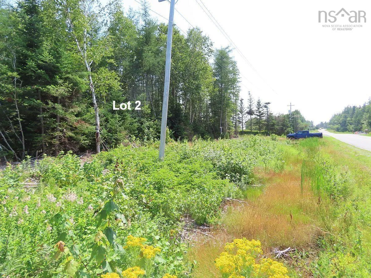 Lot 2 Lower River Road, Hureauville Ns B0e 1j0, ,Land,For Sale,Lower River,202423664
