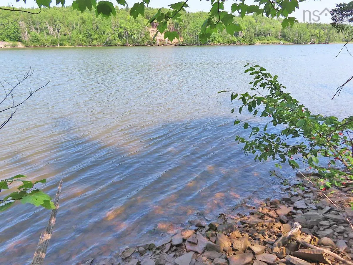 Lot 2 Lower River Road, Hureauville Ns B0e 1j0, ,Land,For Sale,Lower River,202423664