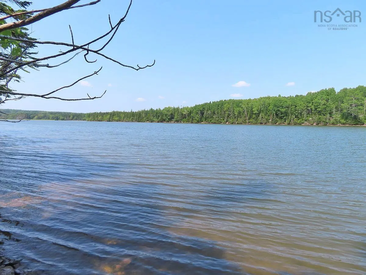 Lot 2 Lower River Road, Hureauville Ns B0e 1j0, ,Land,For Sale,Lower River,202423664