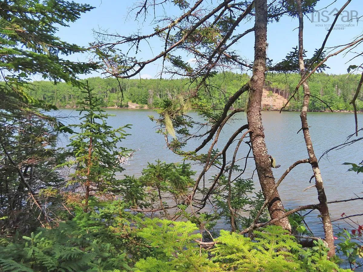 Lot 2 Lower River Road, Hureauville Ns B0e 1j0, ,Land,For Sale,Lower River,202423664