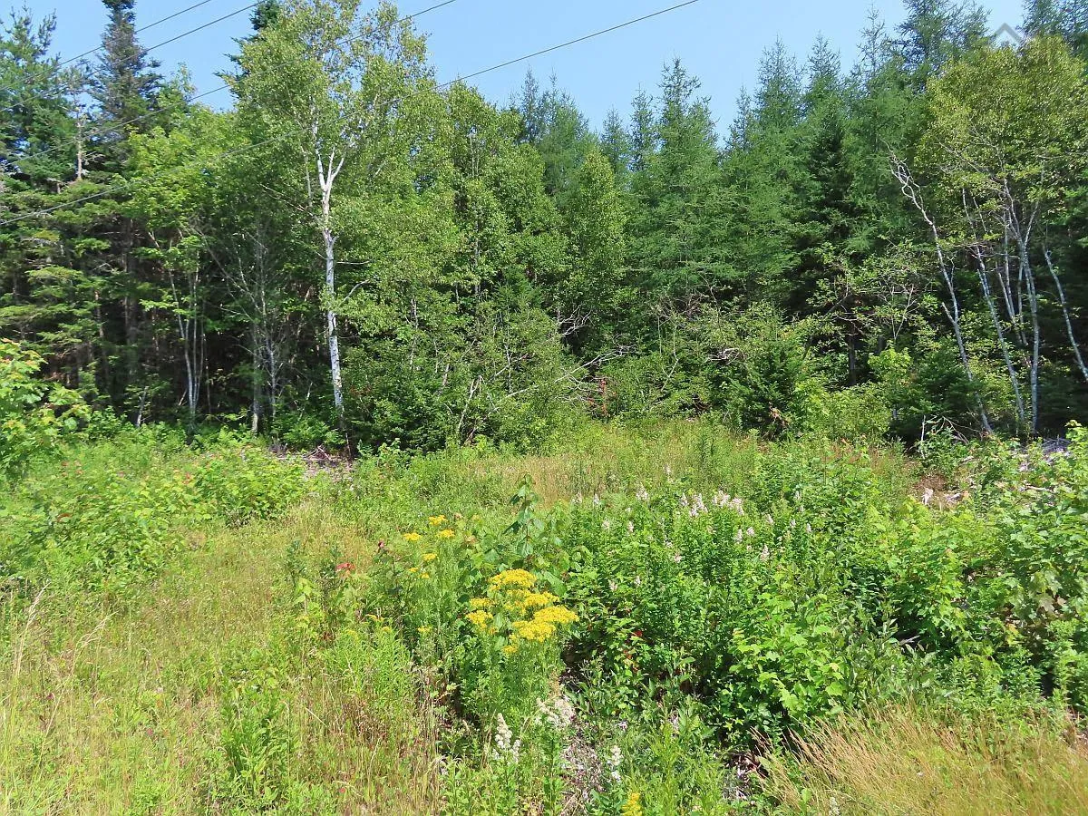 Lot 2 Lower River Road, Hureauville Ns B0e 1j0, ,Land,For Sale,Lower River,202423664