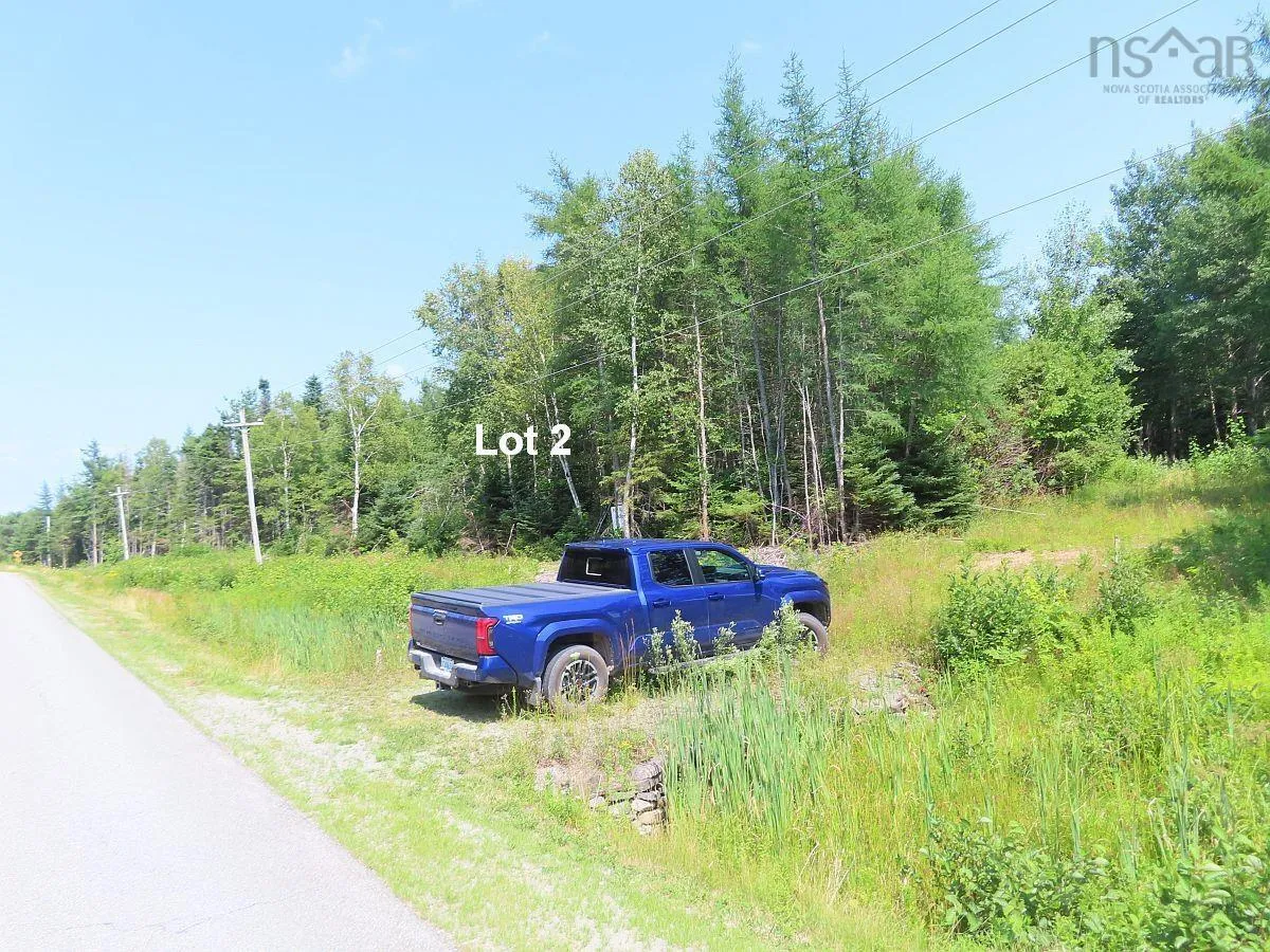 Lot 2 Lower River Road, Hureauville Ns B0e 1j0, ,Land,For Sale,Lower River,202423664