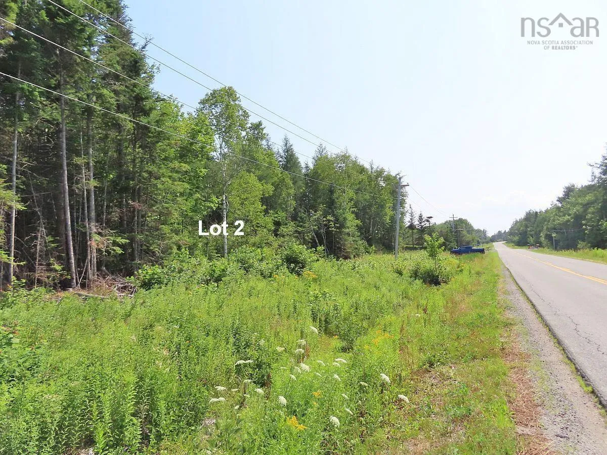 Lot 2 Lower River Road, Hureauville Ns B0e 1j0, ,Land,For Sale,Lower River,202423664