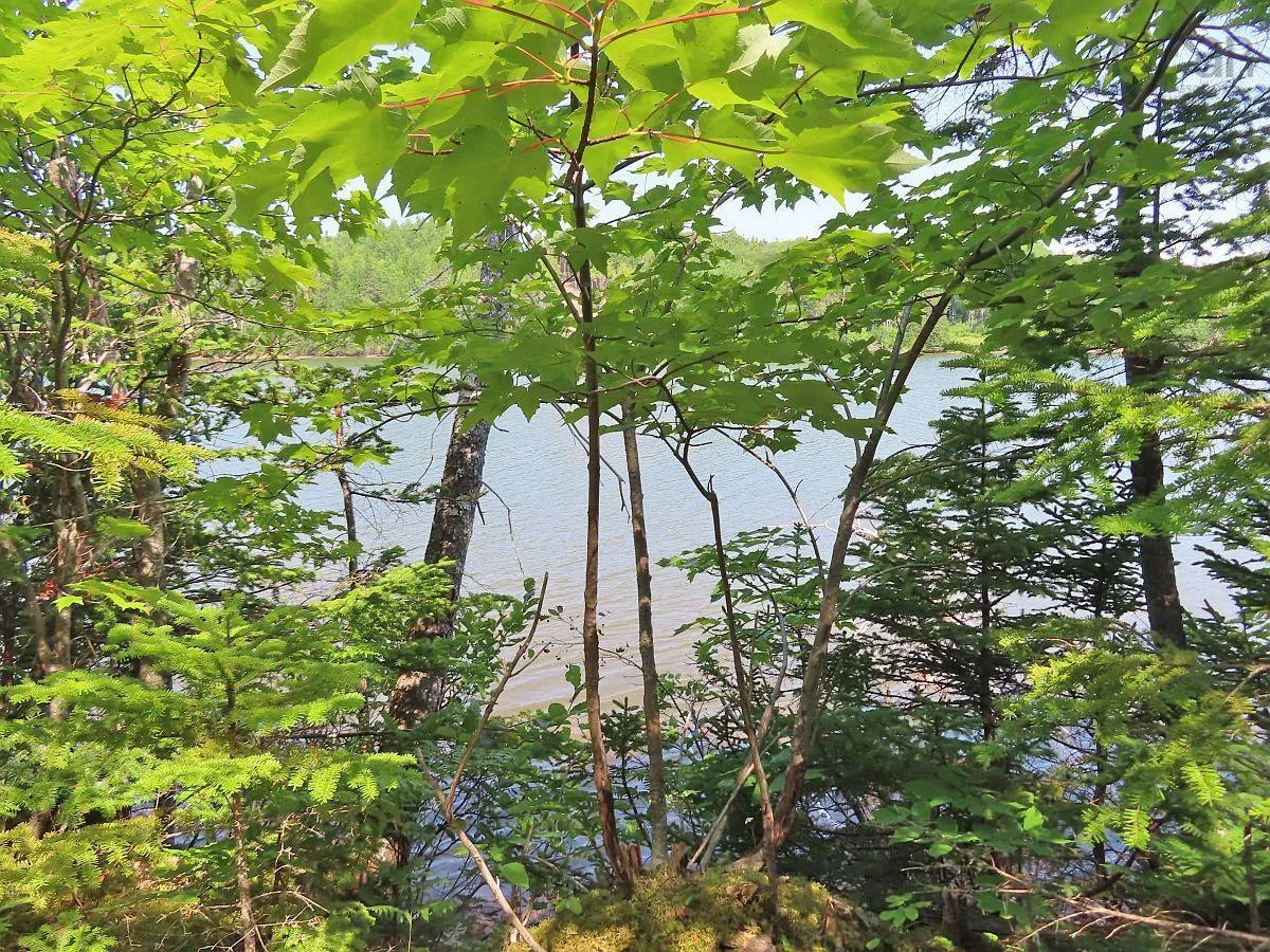 Lot 2 Lower River Road, Hureauville Ns B0e 1j0, ,Land,For Sale,Lower River,202423664
