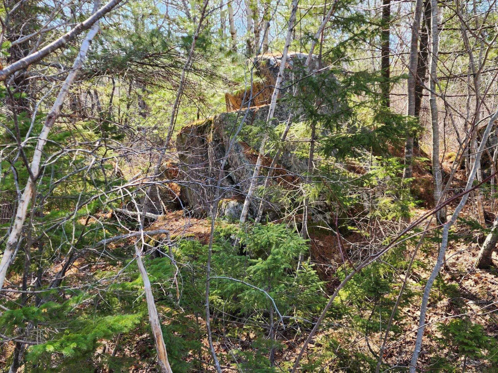 Medway Harbour Road Lot 15, Mill Village Ns B0j 2h0, ,Land,For Sale,Medway Harbour,202306483