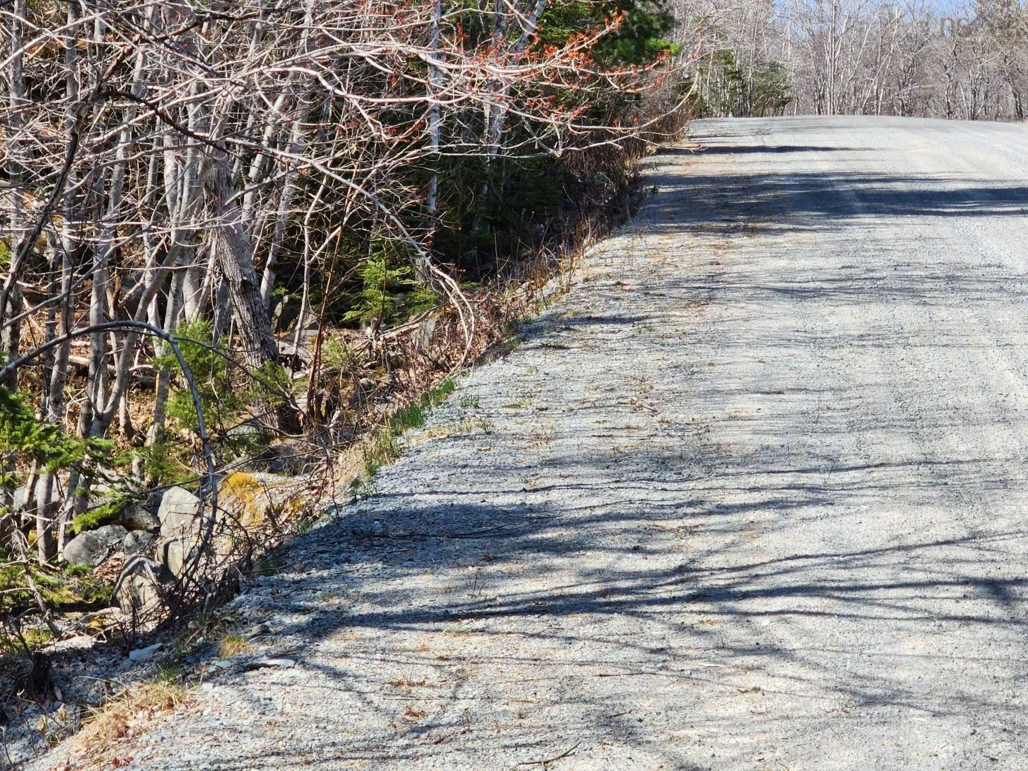 Medway Harbour Road Lot 15, Mill Village Ns B0j 2h0, ,Land,For Sale,Medway Harbour,202306483