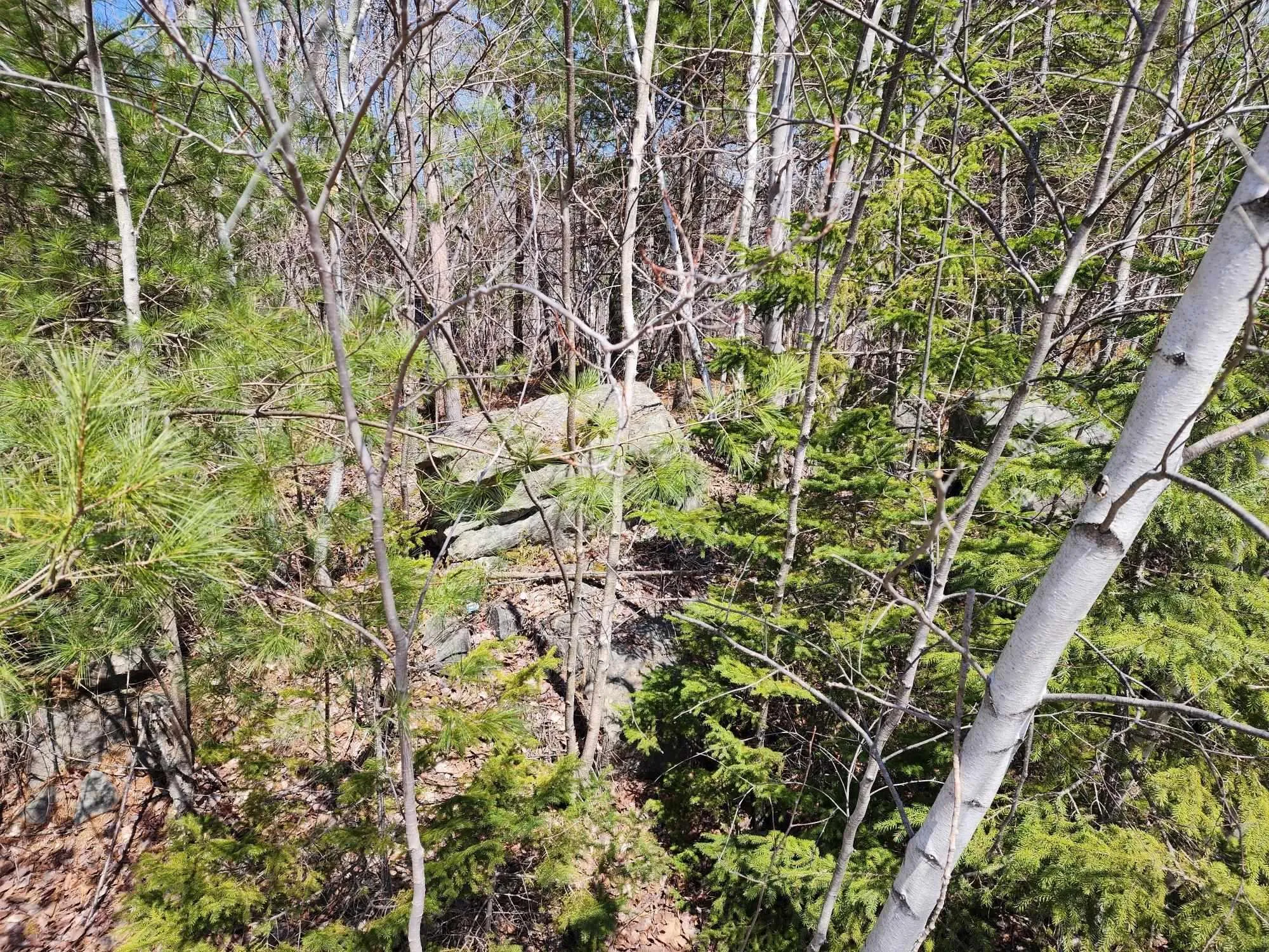 Medway Harbour Road Lot 15, Mill Village Ns B0j 2h0, ,Land,For Sale,Medway Harbour,202306483