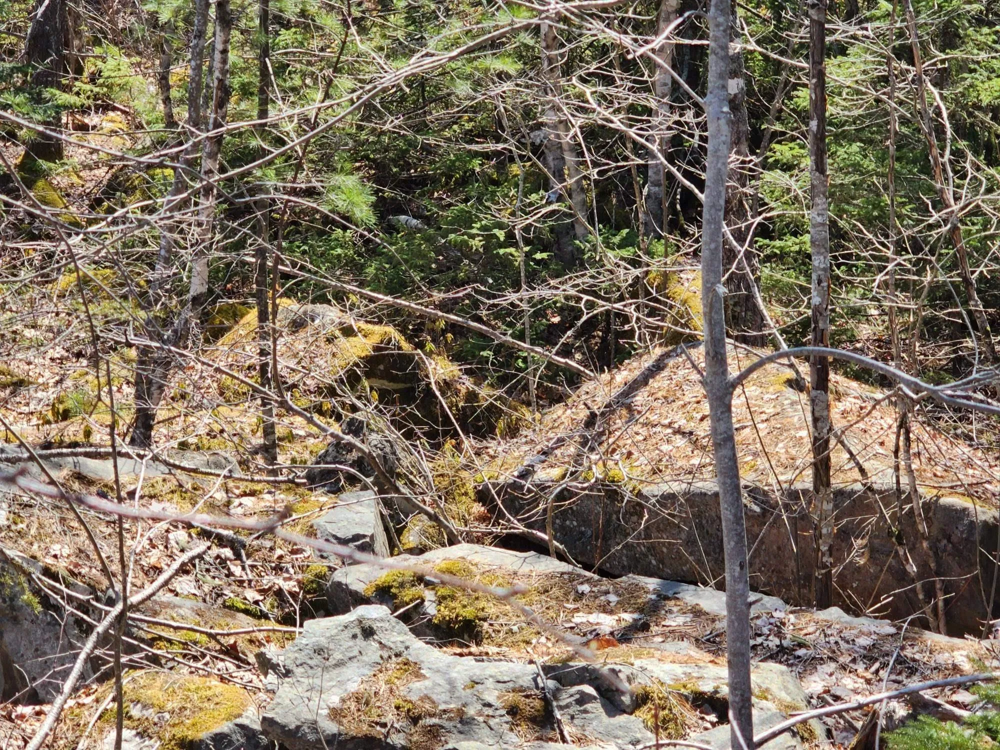 Medway Harbour Road Lot 15, Mill Village Ns B0j 2h0, ,Land,For Sale,Medway Harbour,202306483