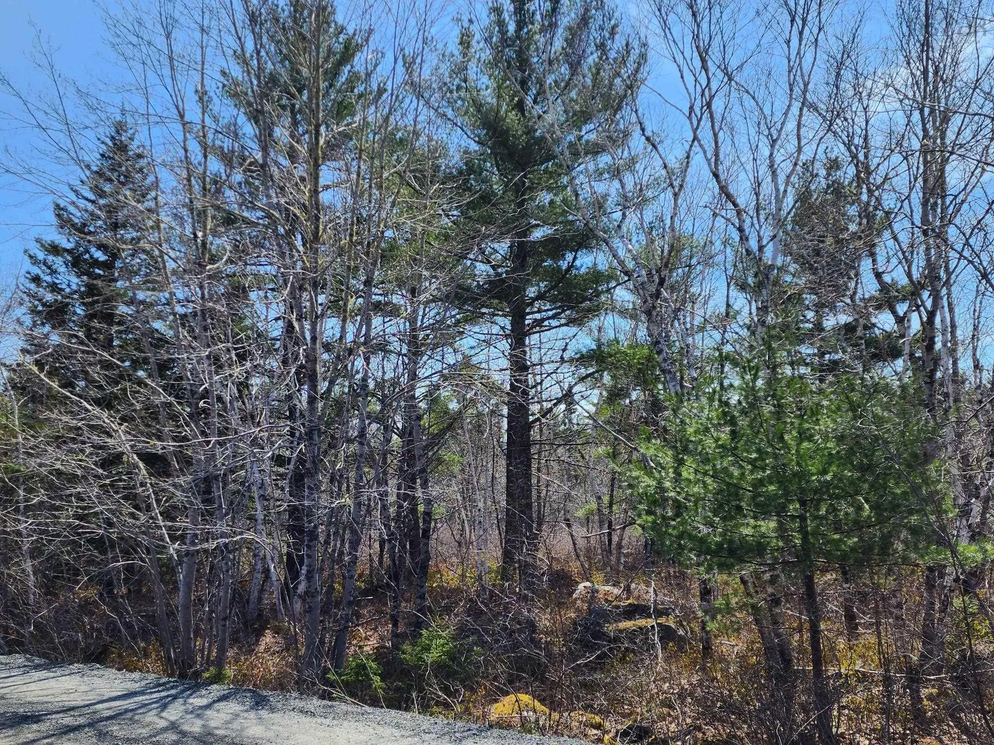 Medway Harbour Road Lot 15, Mill Village Ns B0j 2h0, ,Land,For Sale,Medway Harbour,202306483