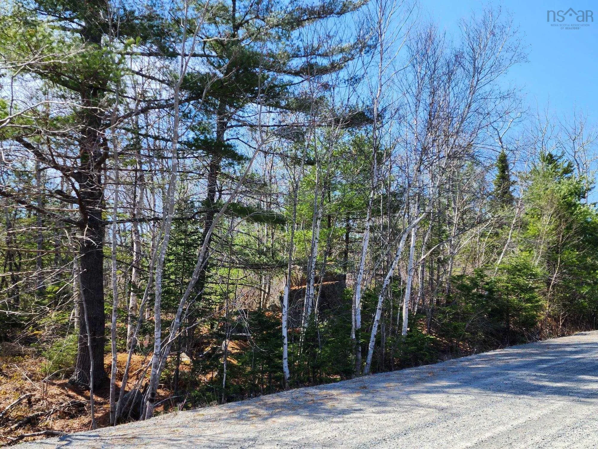 Medway Harbour Road Lot 15, Mill Village Ns B0j 2h0, ,Land,For Sale,Medway Harbour,202306483