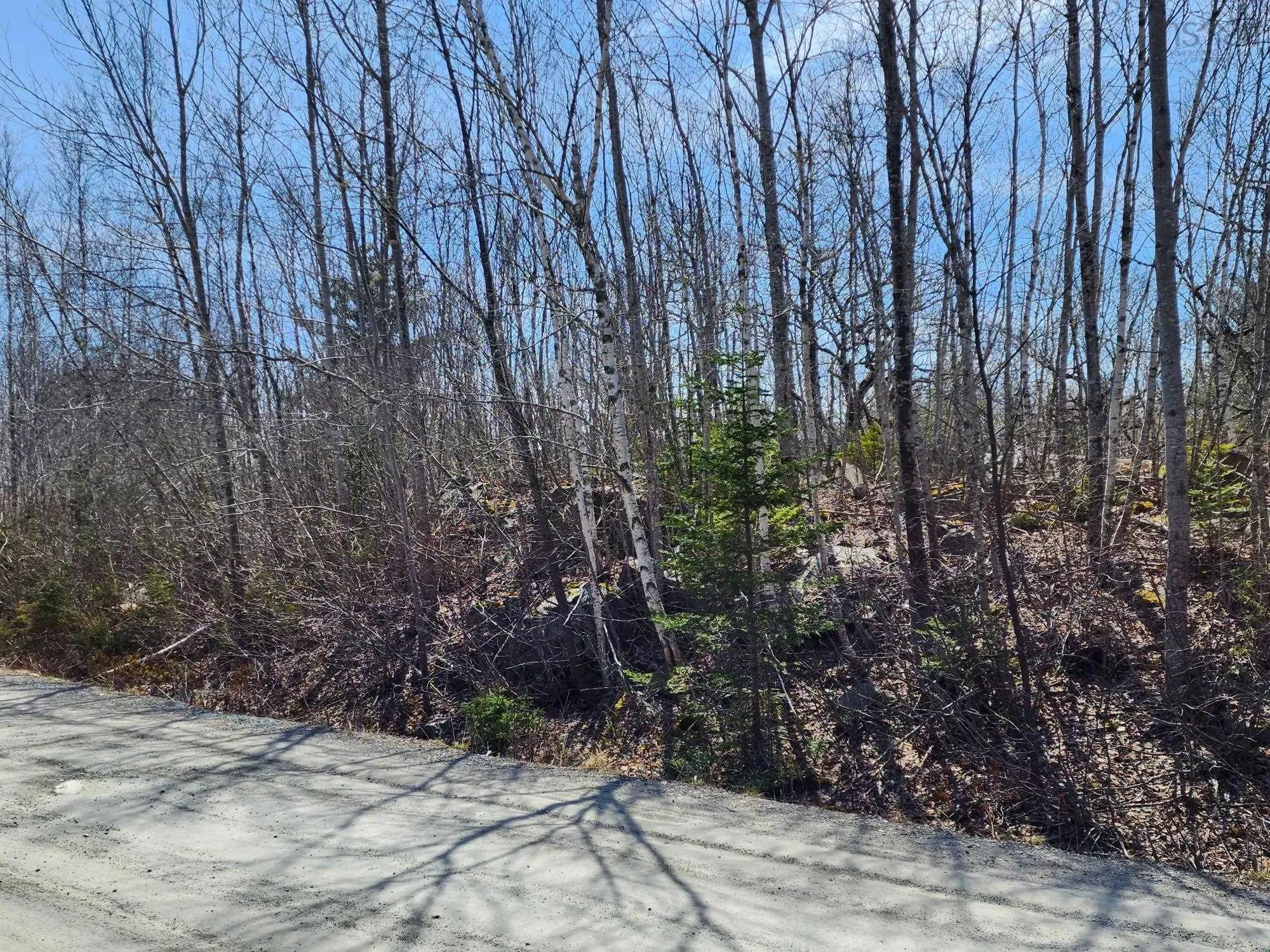 Medway Harbour Road Lot 15, Mill Village Ns B0j 2h0, ,Land,For Sale,Medway Harbour,202306483