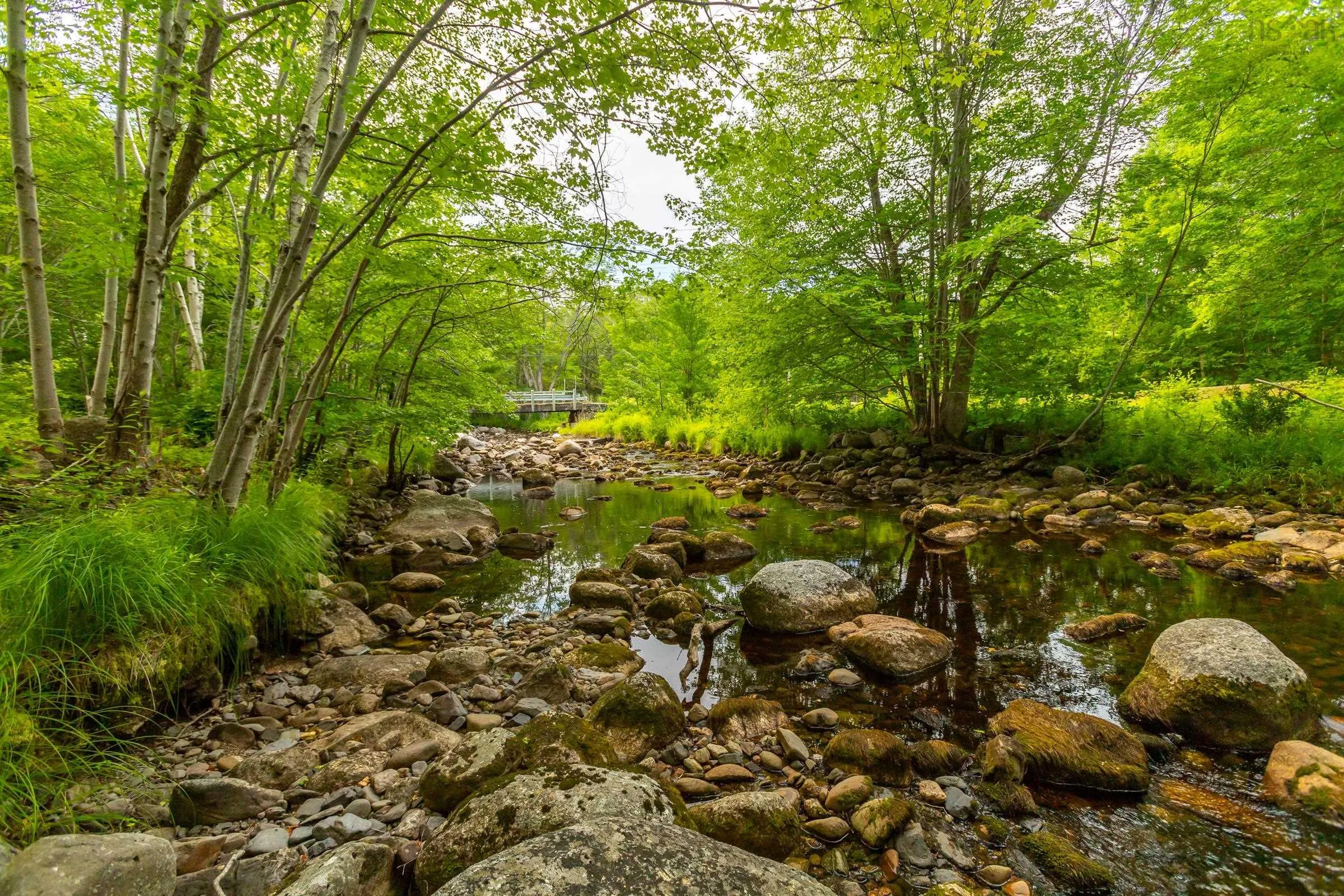 1438 River Road, Bear River, NS B0S 1B0, ,Land,For Sale,River,202519049