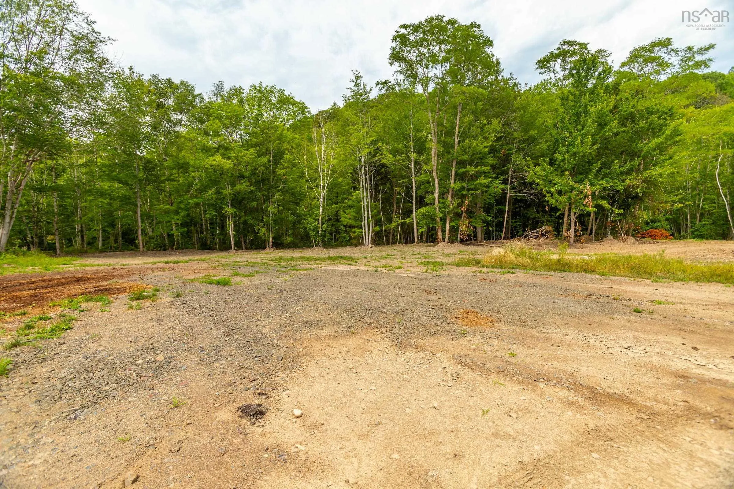 1438 River Road, Bear River, NS B0S 1B0, ,Land,For Sale,River,202519049