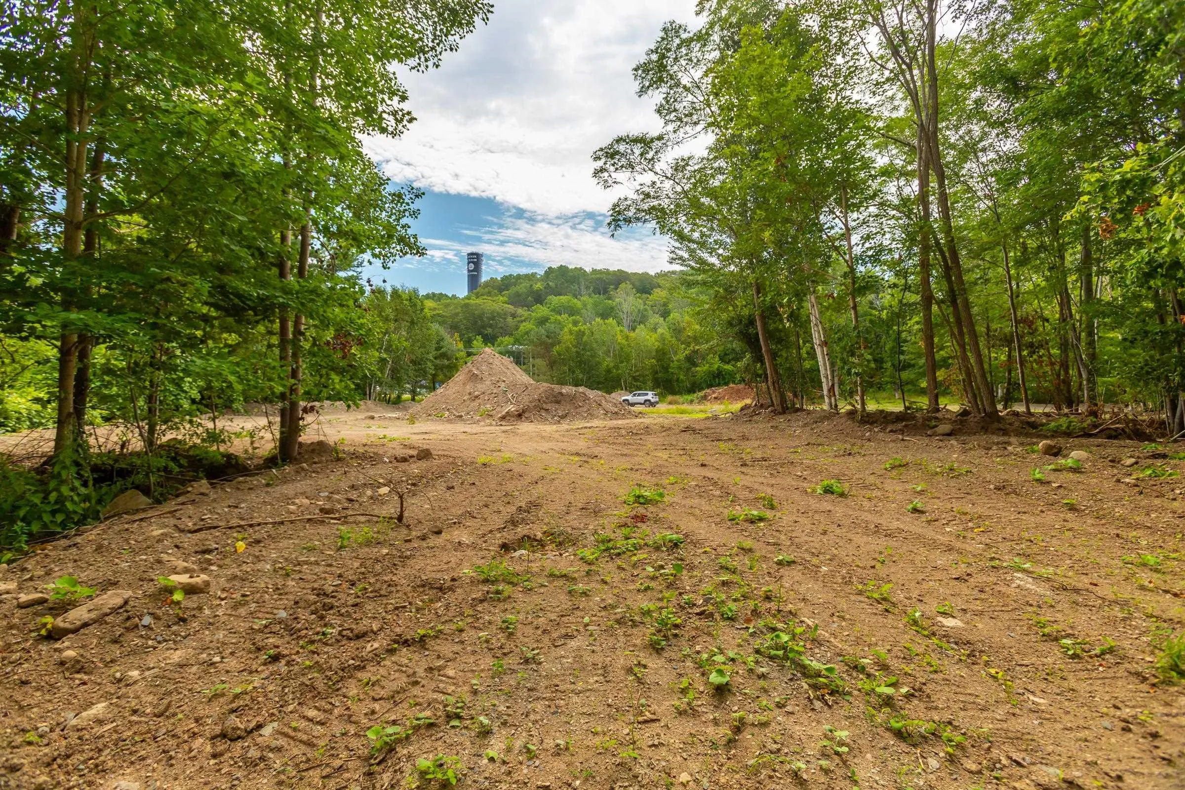 1438 River Road, Bear River, NS B0S 1B0, ,Land,For Sale,River,202519049