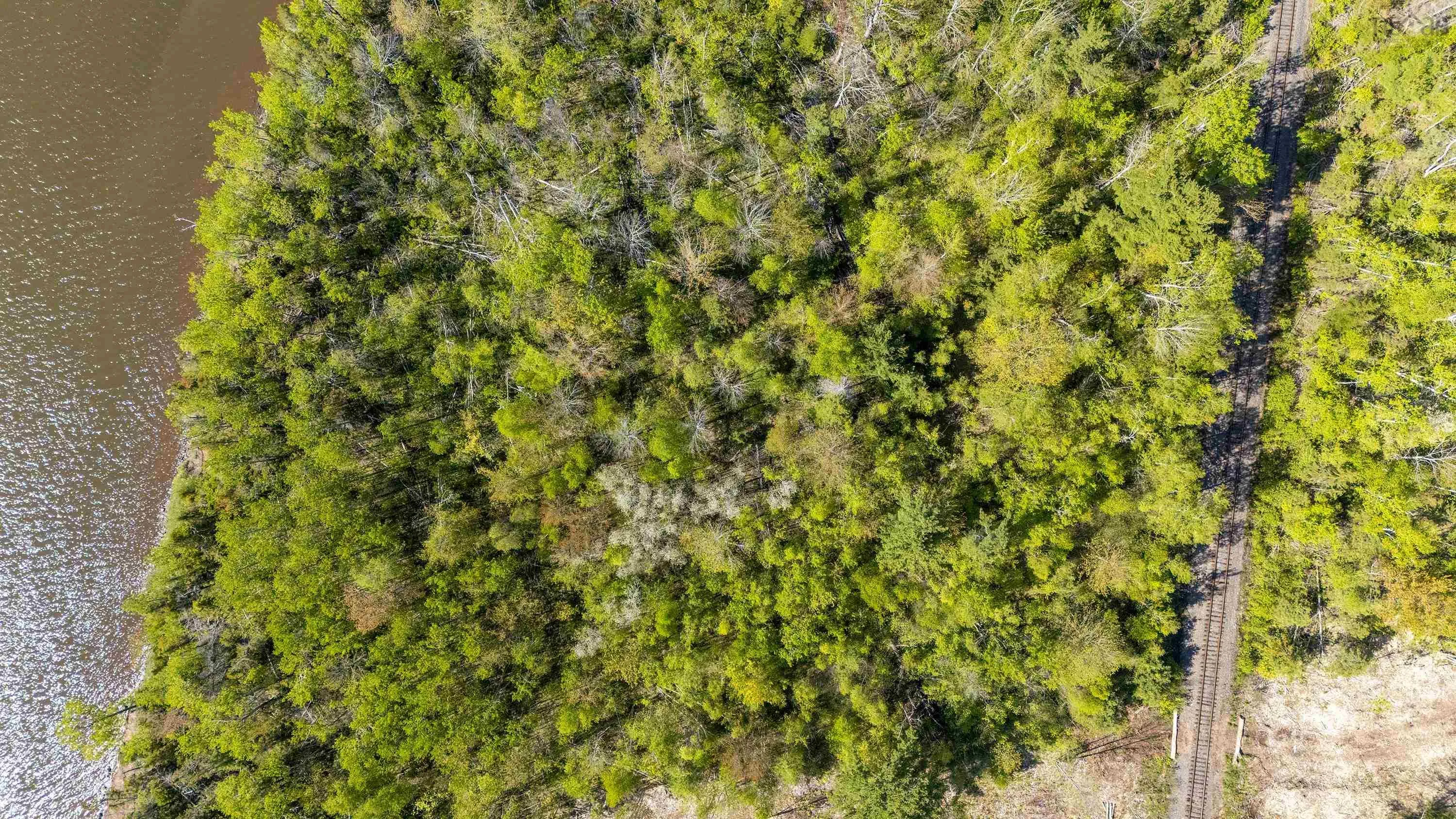 Lot Granton Abercrombie Road, Granton, NS B2H 5C6, ,Land,For Sale,Granton Abercrombie,202512880