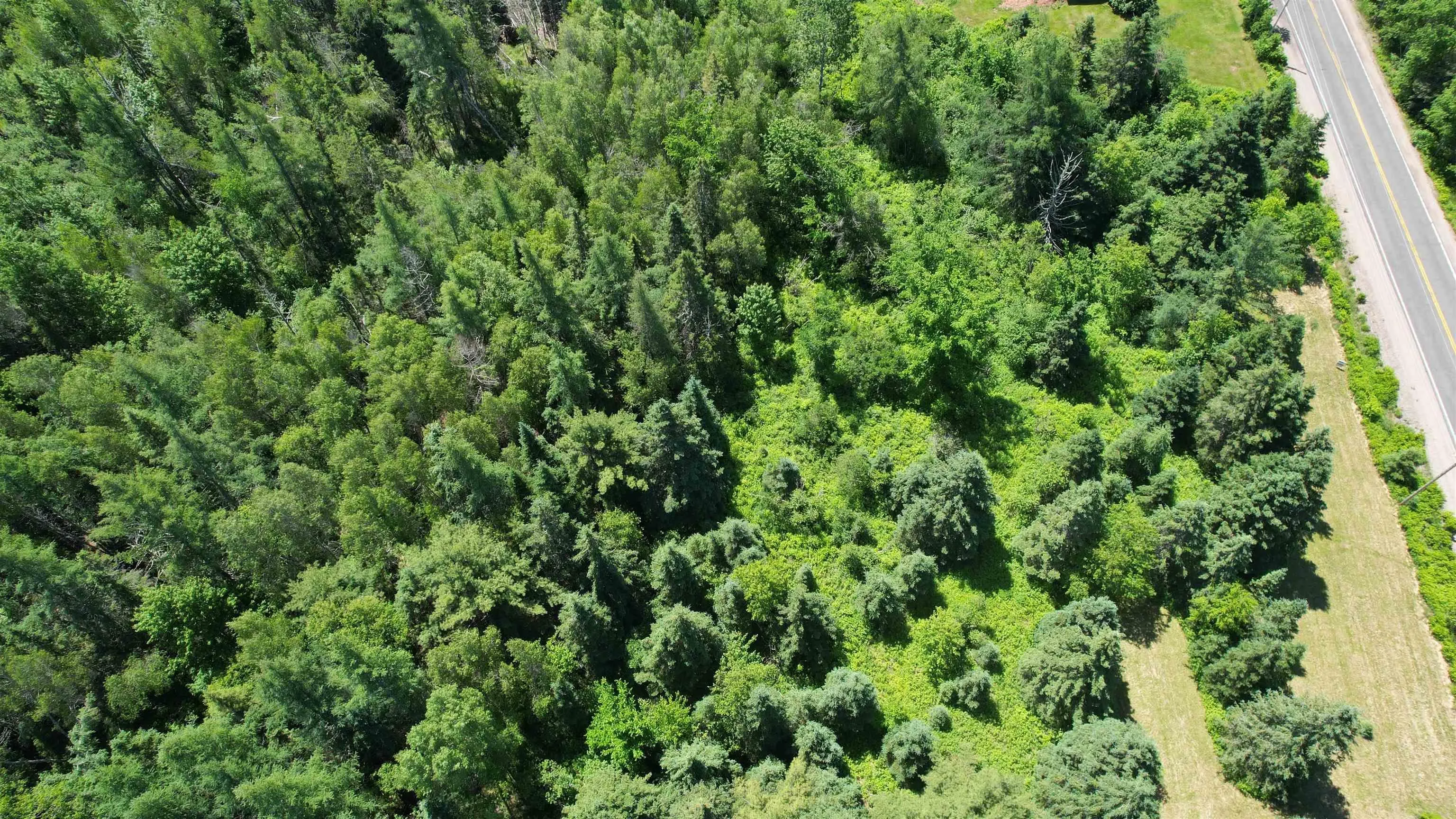 700 307 Highway, Wentworth Ns B0m 1z0, ,Land,For Sale,307,202414193