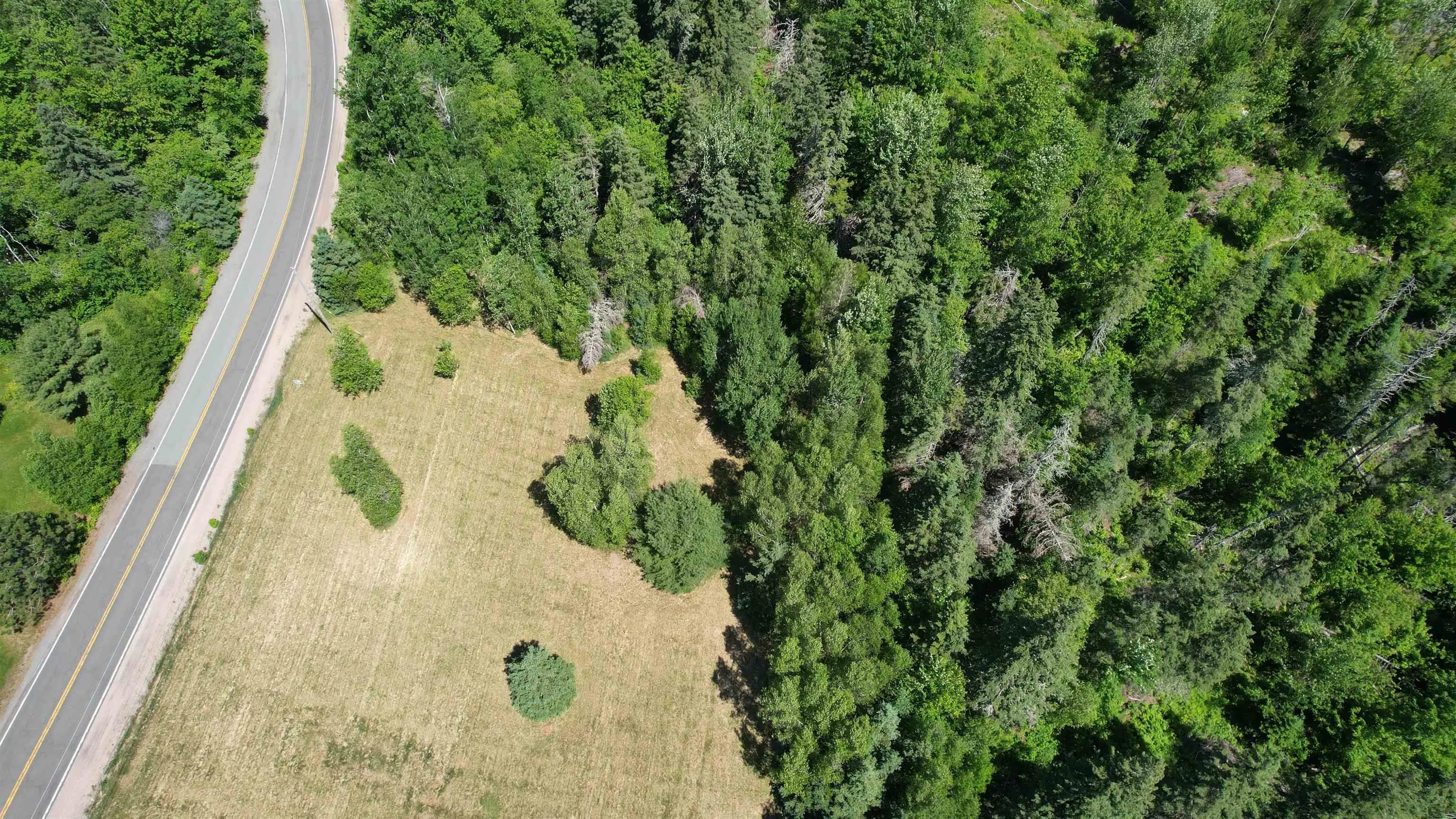 700 307 Highway, Wentworth Ns B0m 1z0, ,Land,For Sale,307,202414193