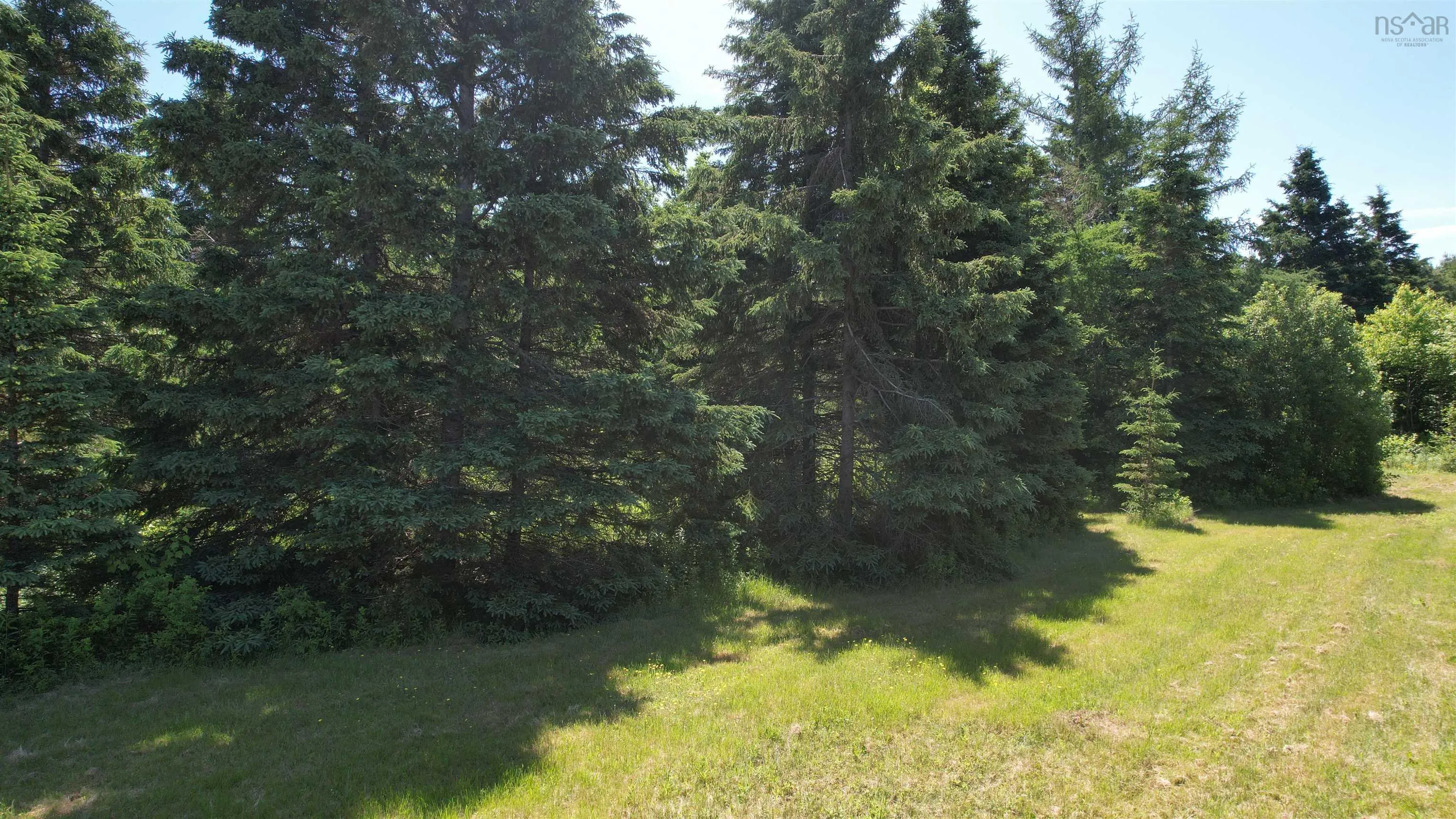 700 307 Highway, Wentworth Ns B0m 1z0, ,Land,For Sale,307,202414193