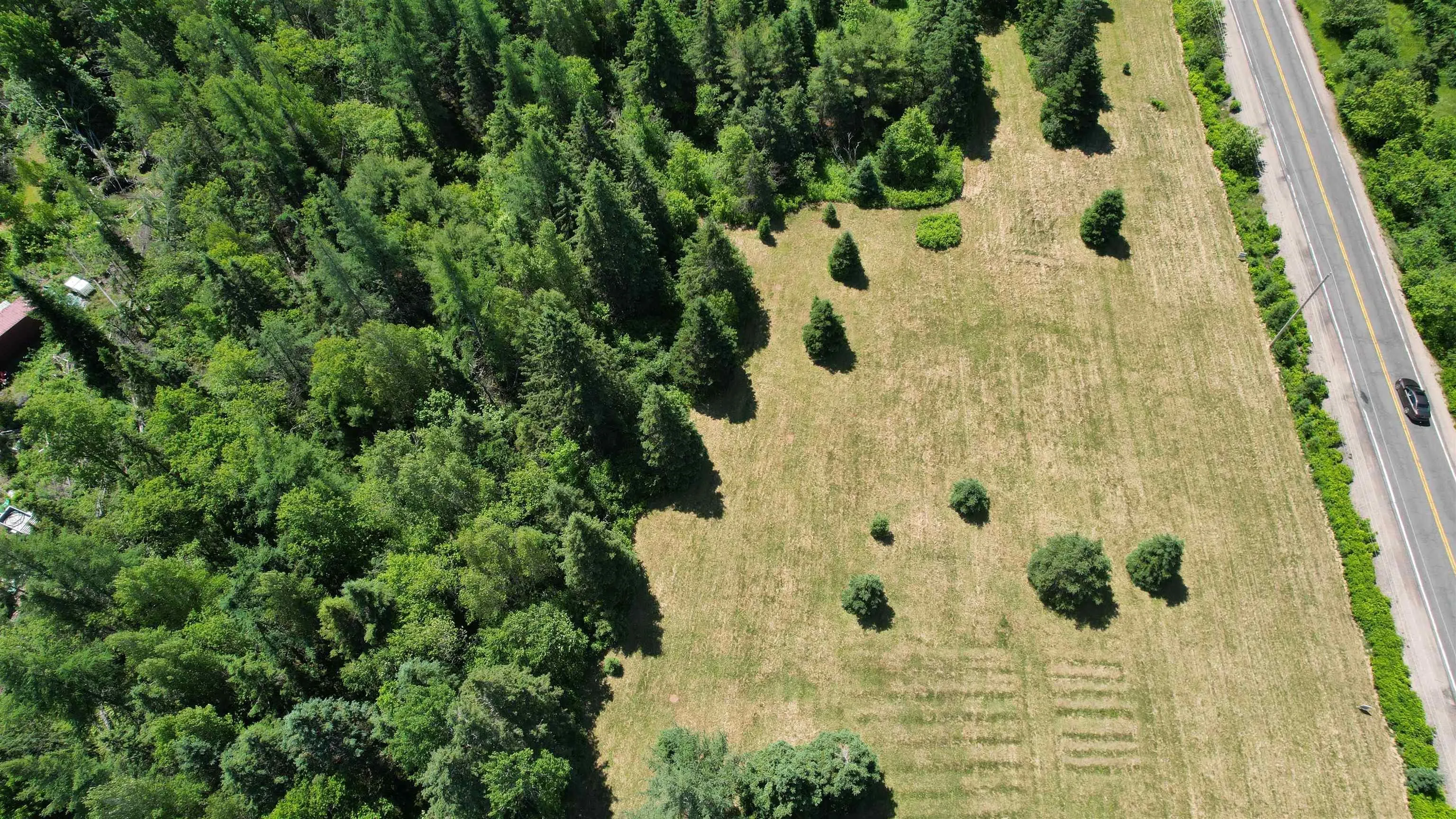 700 307 Highway, Wentworth Ns B0m 1z0, ,Land,For Sale,307,202414193