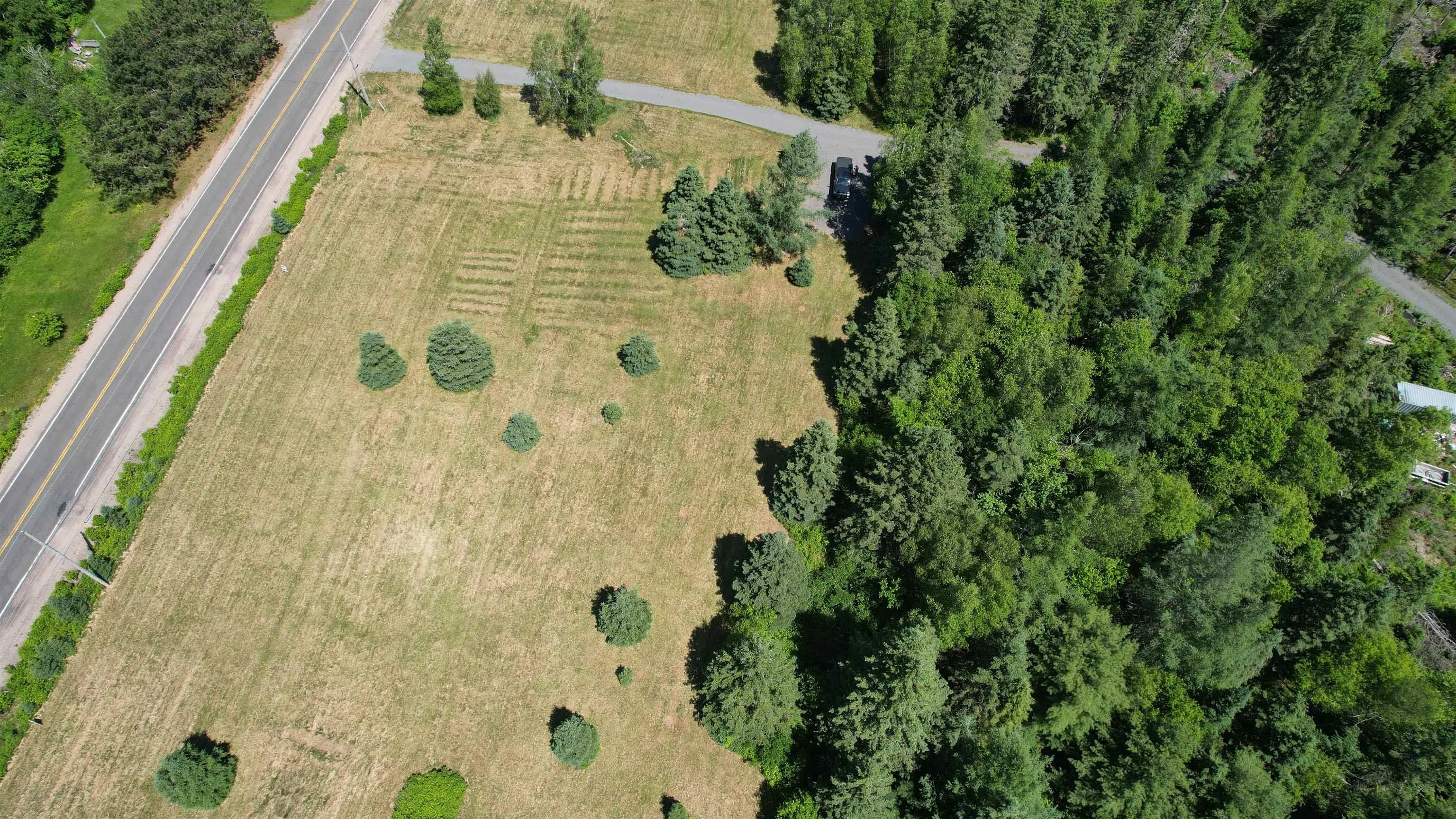 700 307 Highway, Wentworth Ns B0m 1z0, ,Land,For Sale,307,202414193