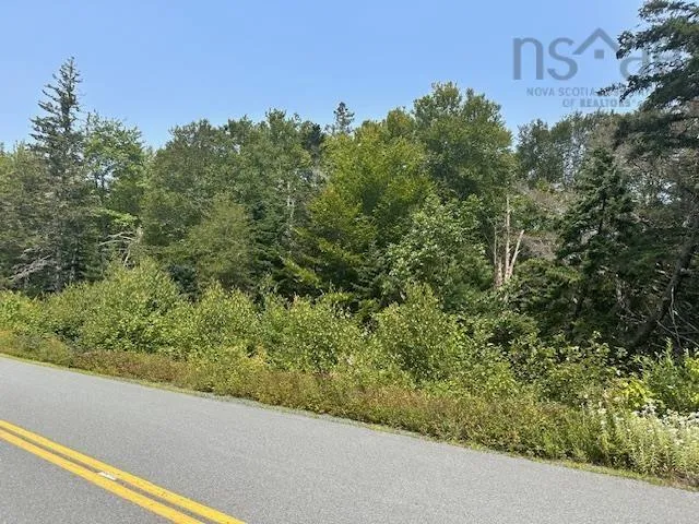 Beech Hill Road, Beech Hill Farms, NS B0T 1G0, ,Land,For Sale,Beech Hill,202520458