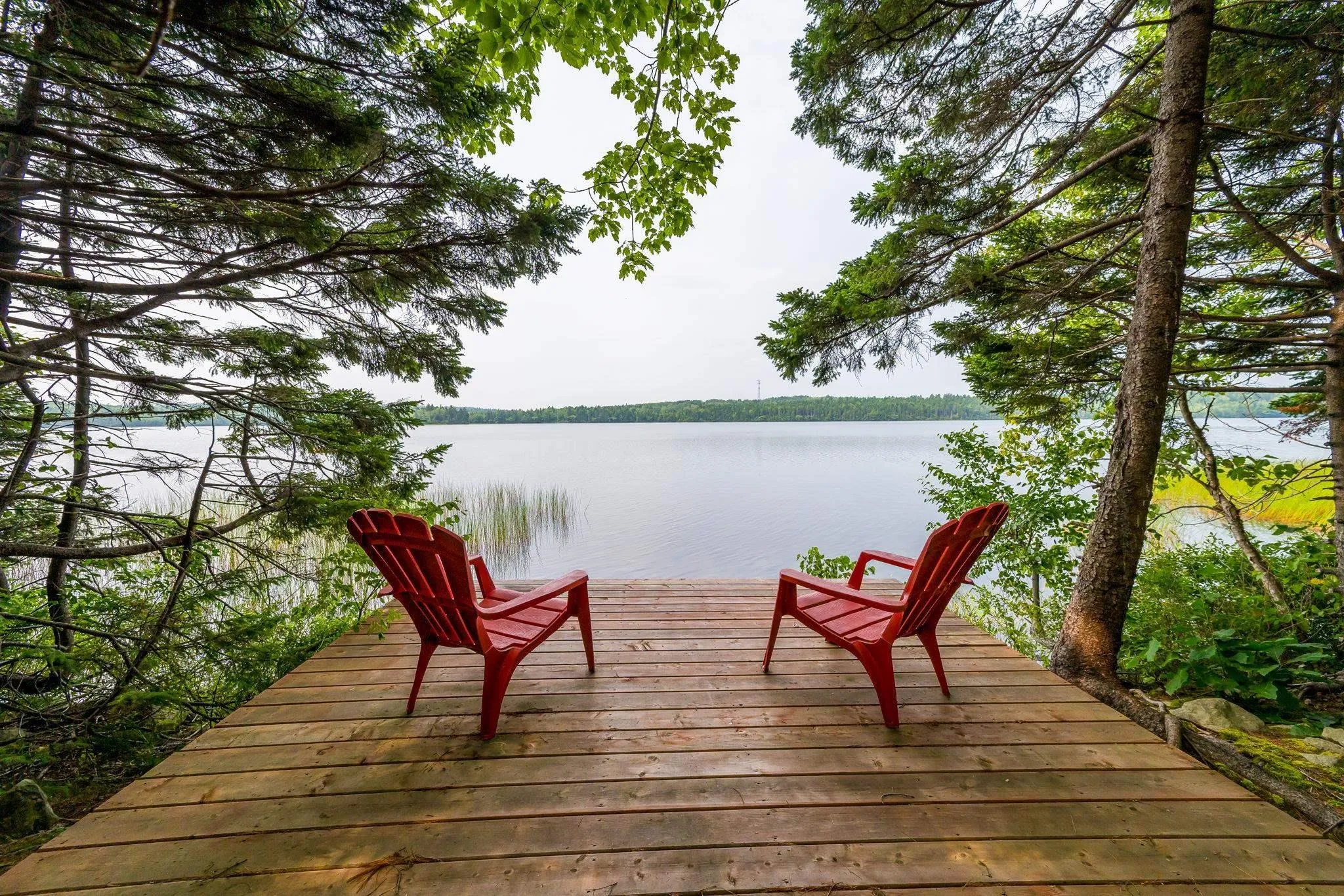 49 Fairway Grove, Lake Loon, NS B2W 6M5, 2 Bedrooms Bedrooms, ,3 BathroomsBathrooms,Residential,For Sale,Fairway,202519854