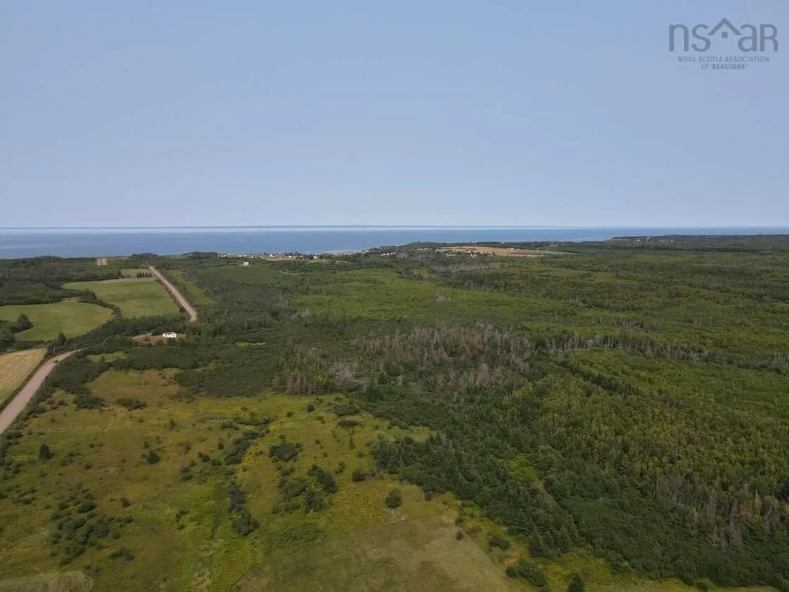 124 New Road, Cape John, NS B0K 1N0, ,Land,For Sale,New,202520606