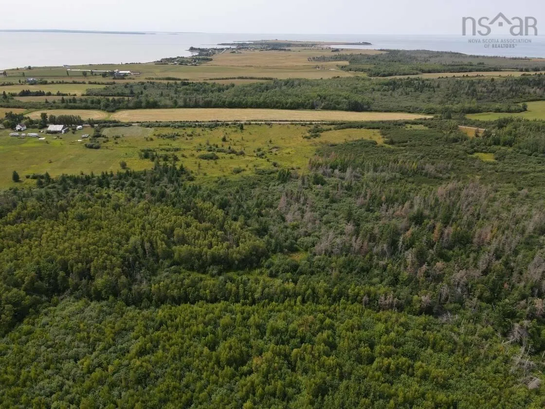 124 New Road, Cape John, NS B0K 1N0, ,Land,For Sale,New,202520606