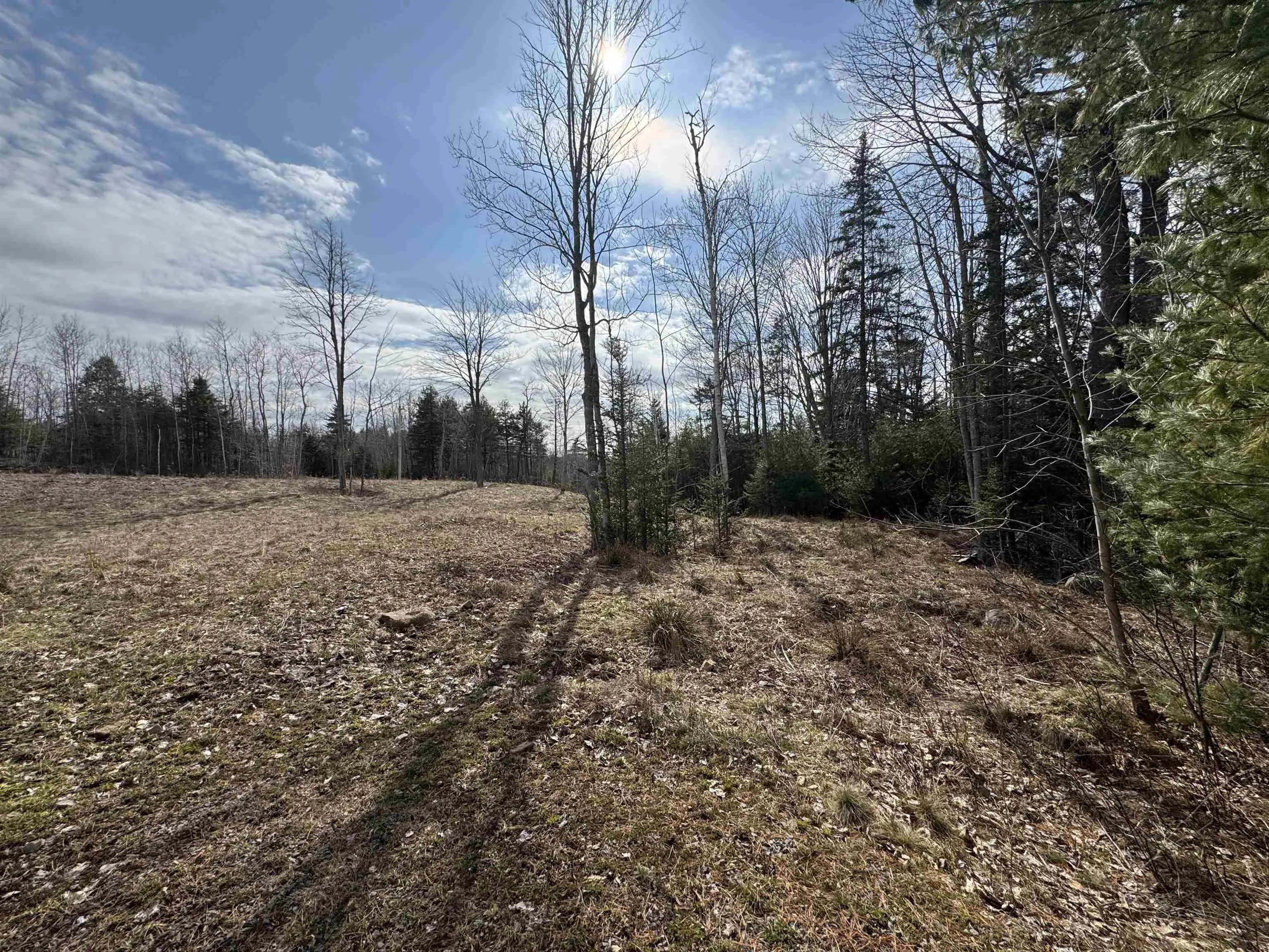45 Donald E Hiltz Connector Road, Kentville Ns B4n 3v7, ,Commercial Sale,For Sale,Donald E Hiltz Connector,202508685